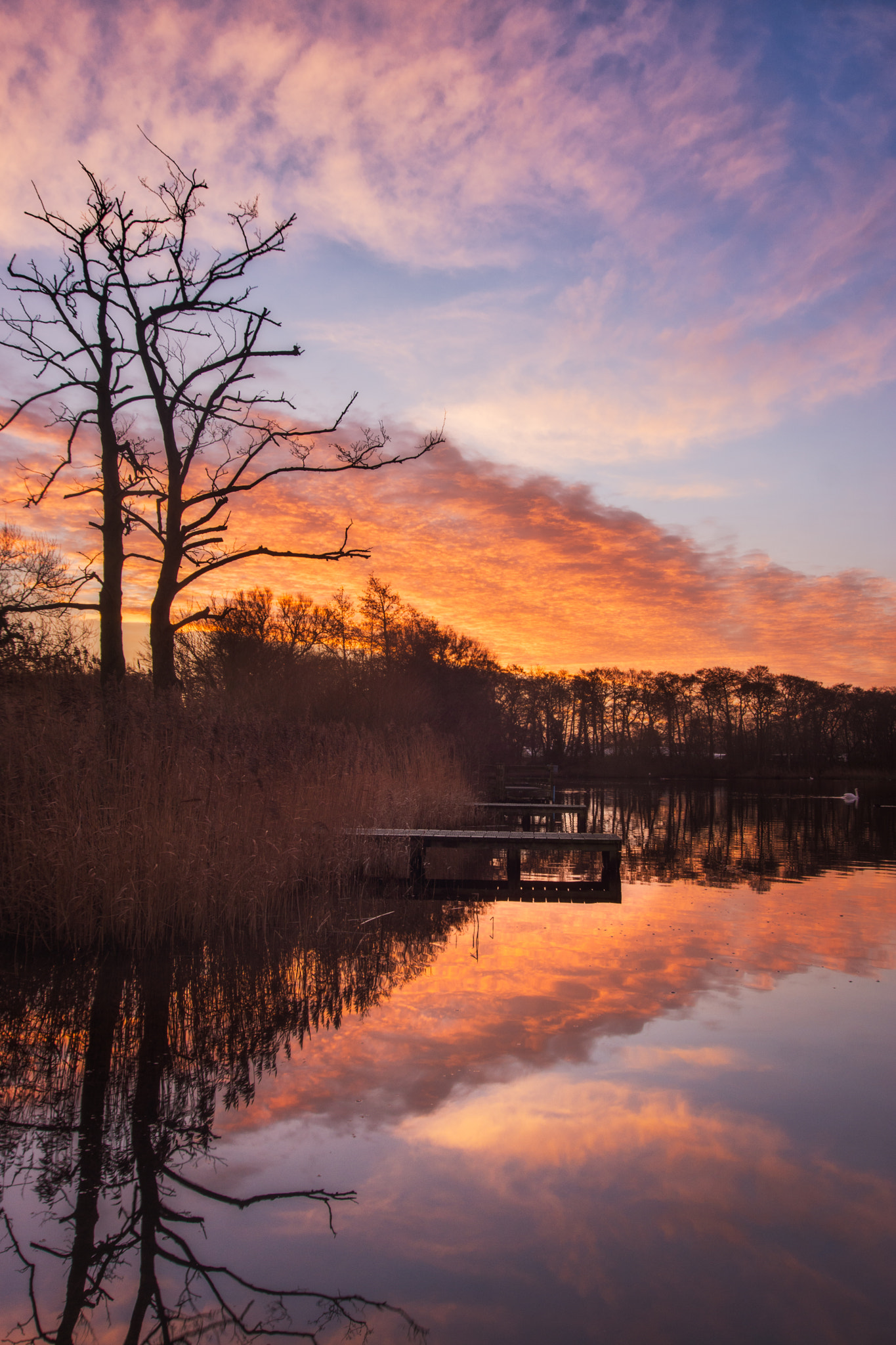 Sony SLT-A77 + Sigma 17-35mm F2.8-4 EX Aspherical sample photo. Reflections of another day photography