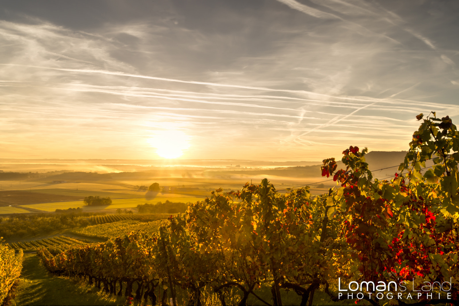 Sony Alpha DSLR-A550 + Sony DT 18-55mm F3.5-5.6 SAM sample photo. Bourgogne et lorraine photography