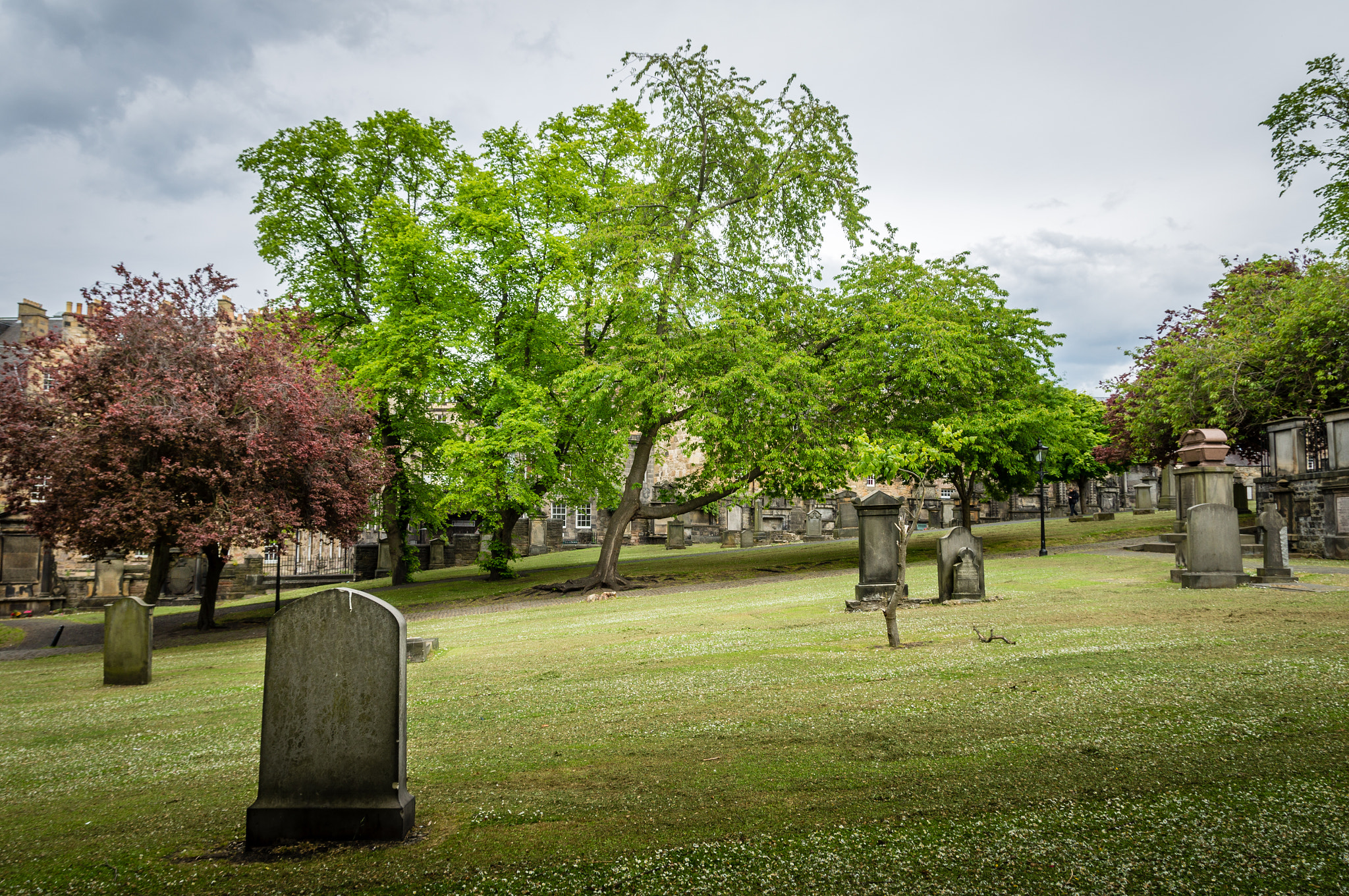 Sony Alpha DSLR-A580 sample photo. Greyfriars kirkyard photography