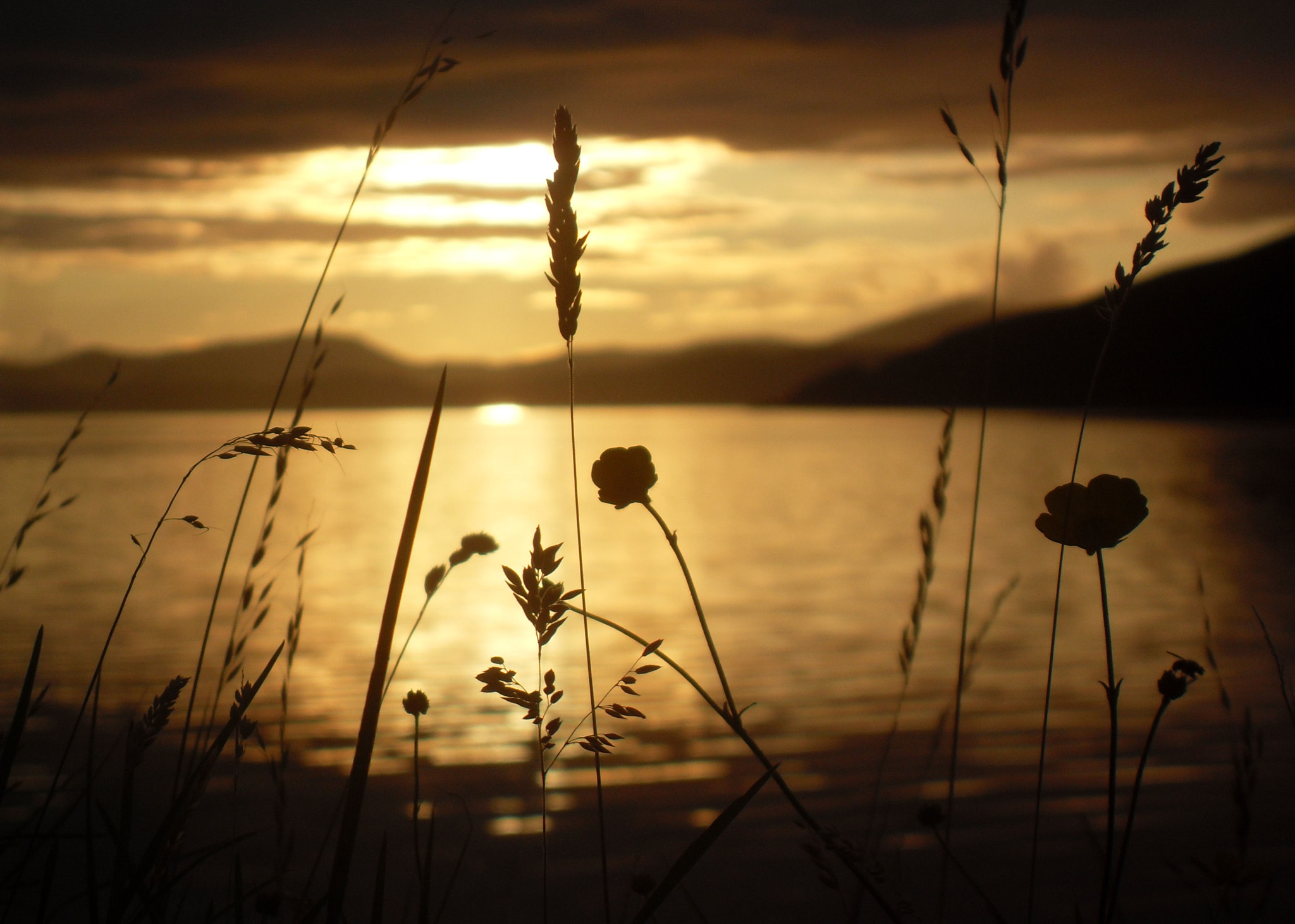 Samsung VLUU L200  / Samsung L200 sample photo. Applecross sunset 1 photography