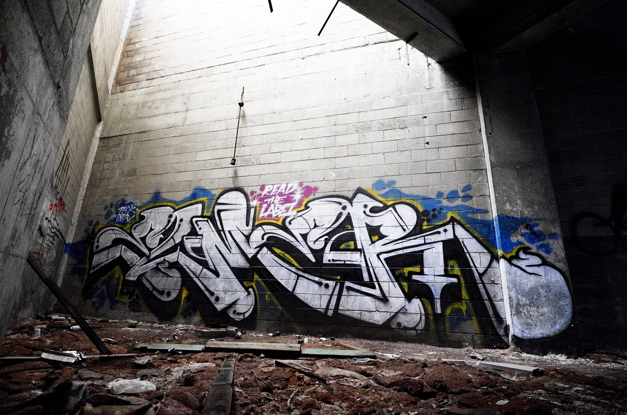 Leica T (Typ 701) sample photo. Elmer photography