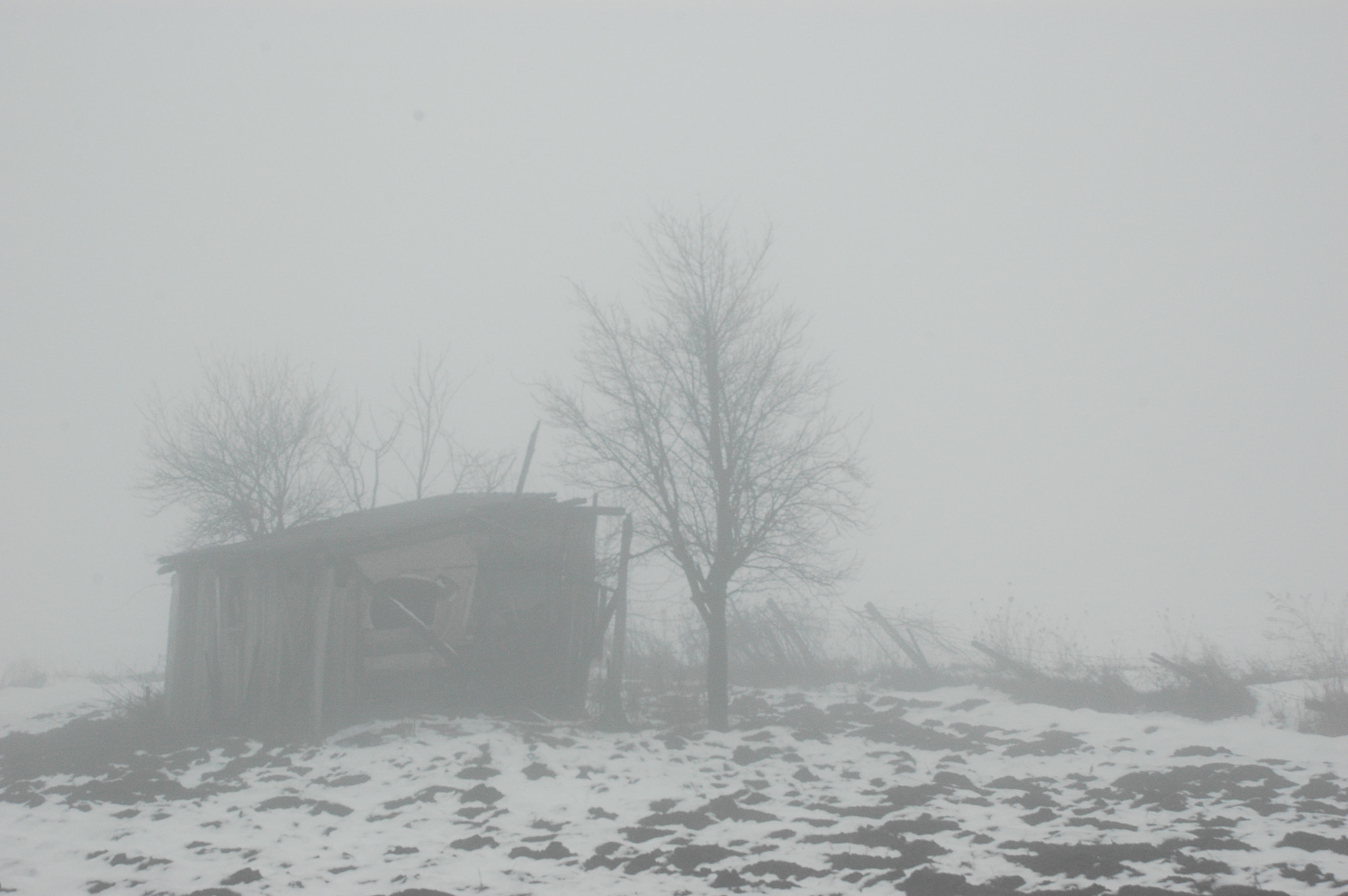 Nikon D70s sample photo. Cabin on a field photography