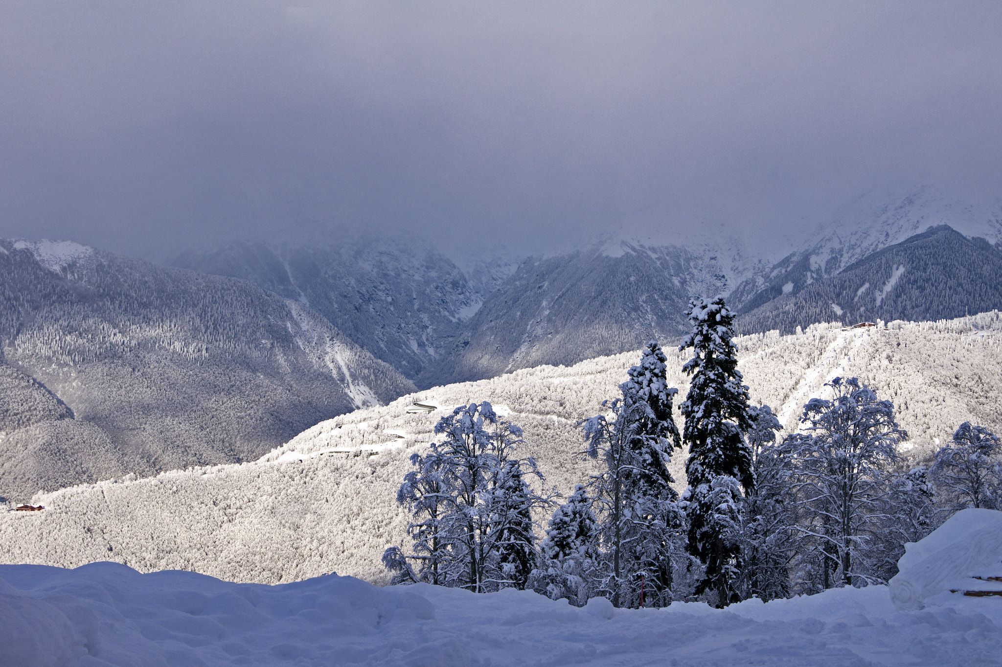 Sony Alpha DSLR-A450 sample photo. Sochi, krasnaya polyana. h 2200 m photography