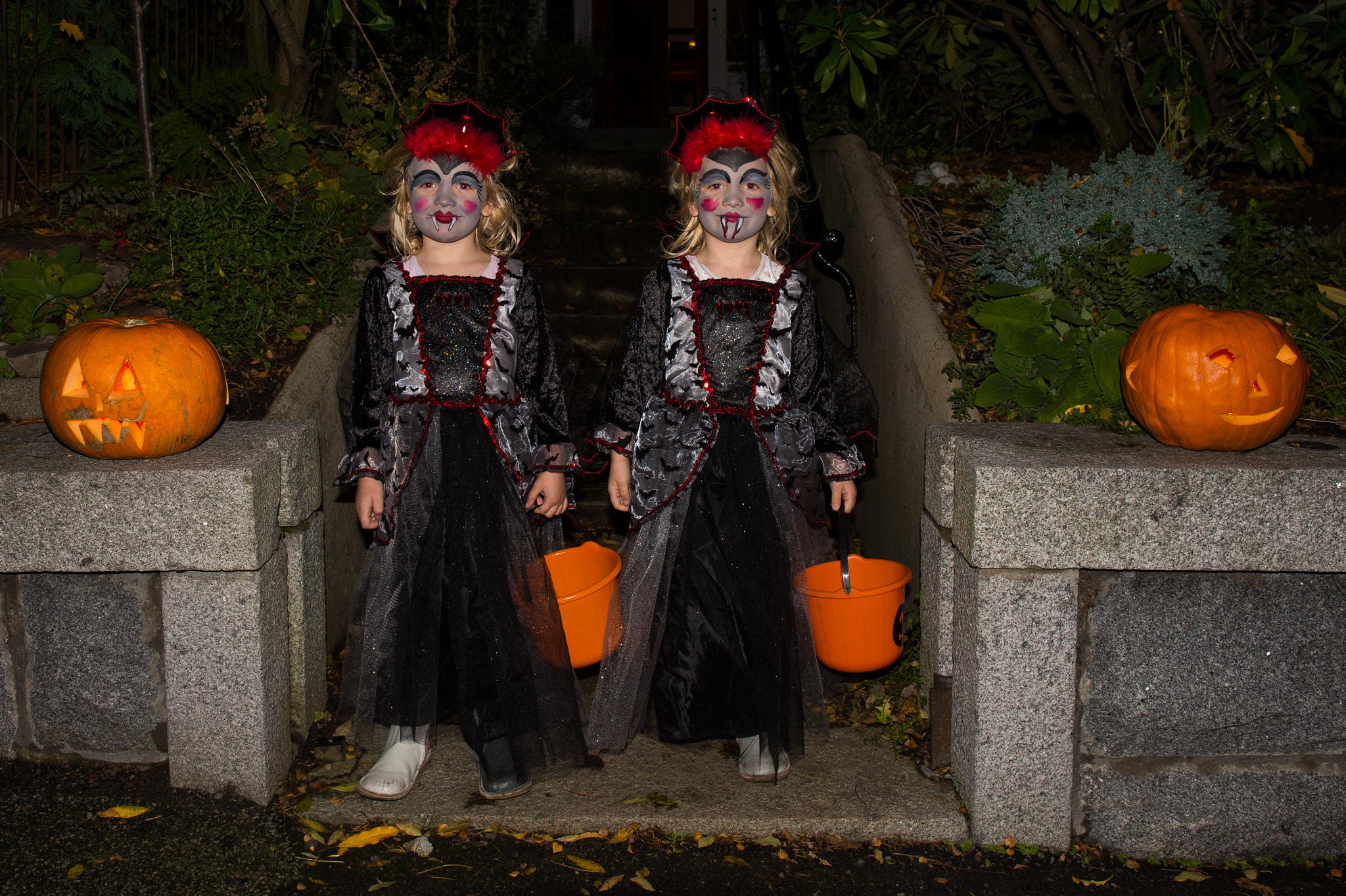 Nikon AF-S Nikkor 24mm F1.4G ED sample photo. Trick or treat! photography