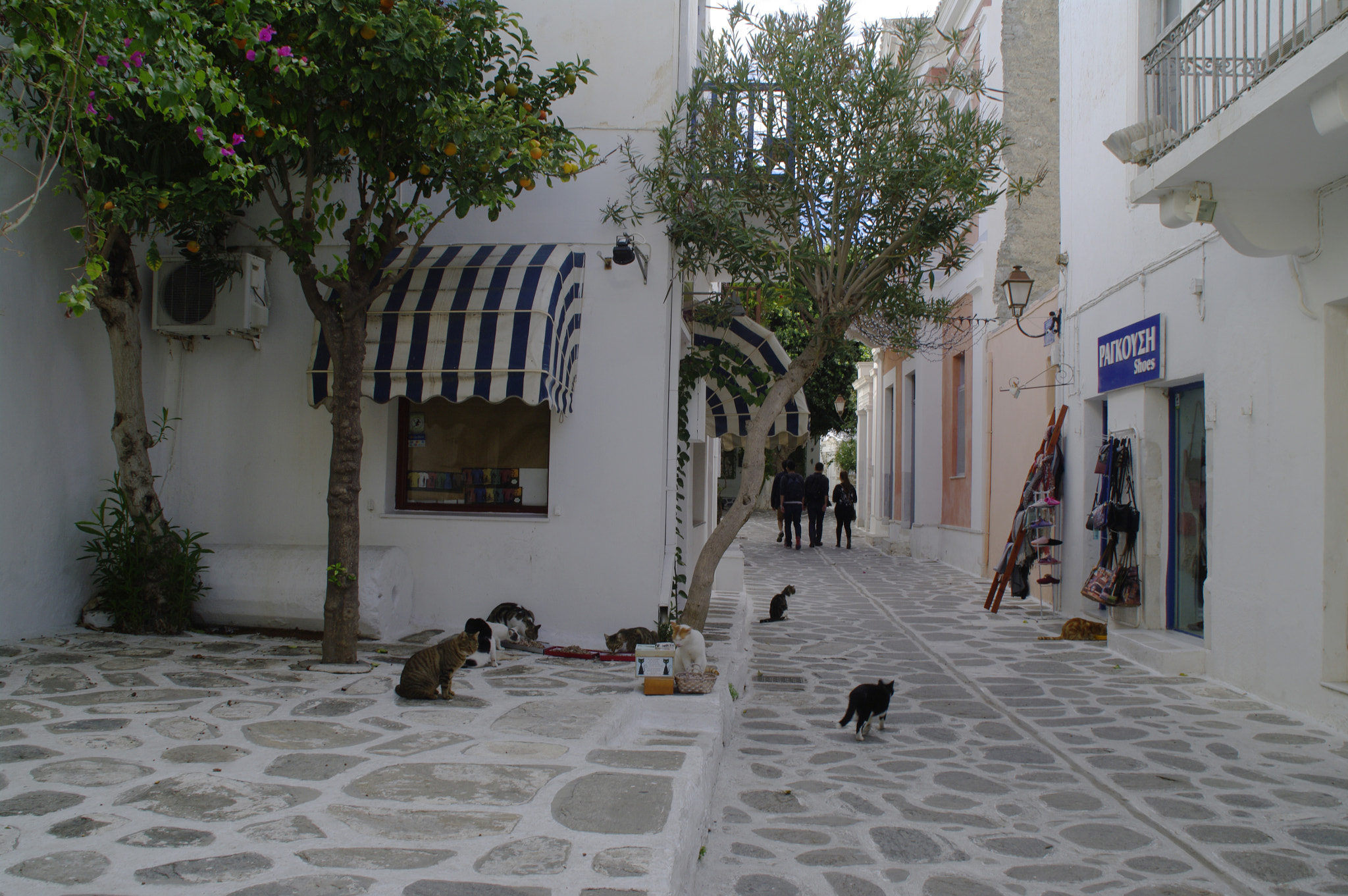 Tamron AF 18-200mm F3.5-6.3 XR Di II LD Aspherical (IF) Macro sample photo. Greece photography