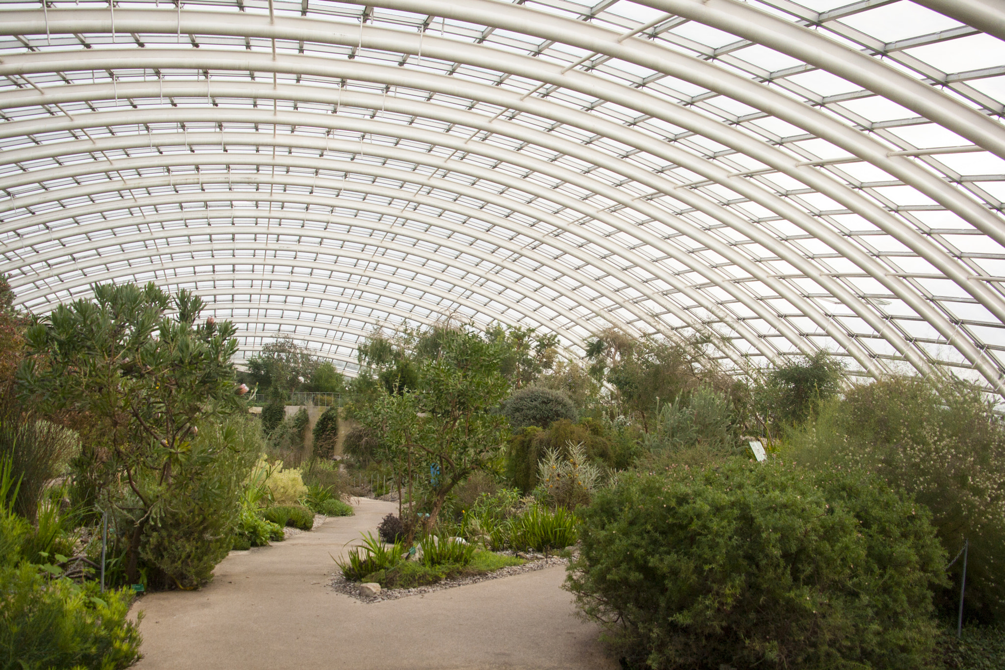 Canon EF-S 18-135mm F3.5-5.6 IS STM sample photo. Botanical gardens photography