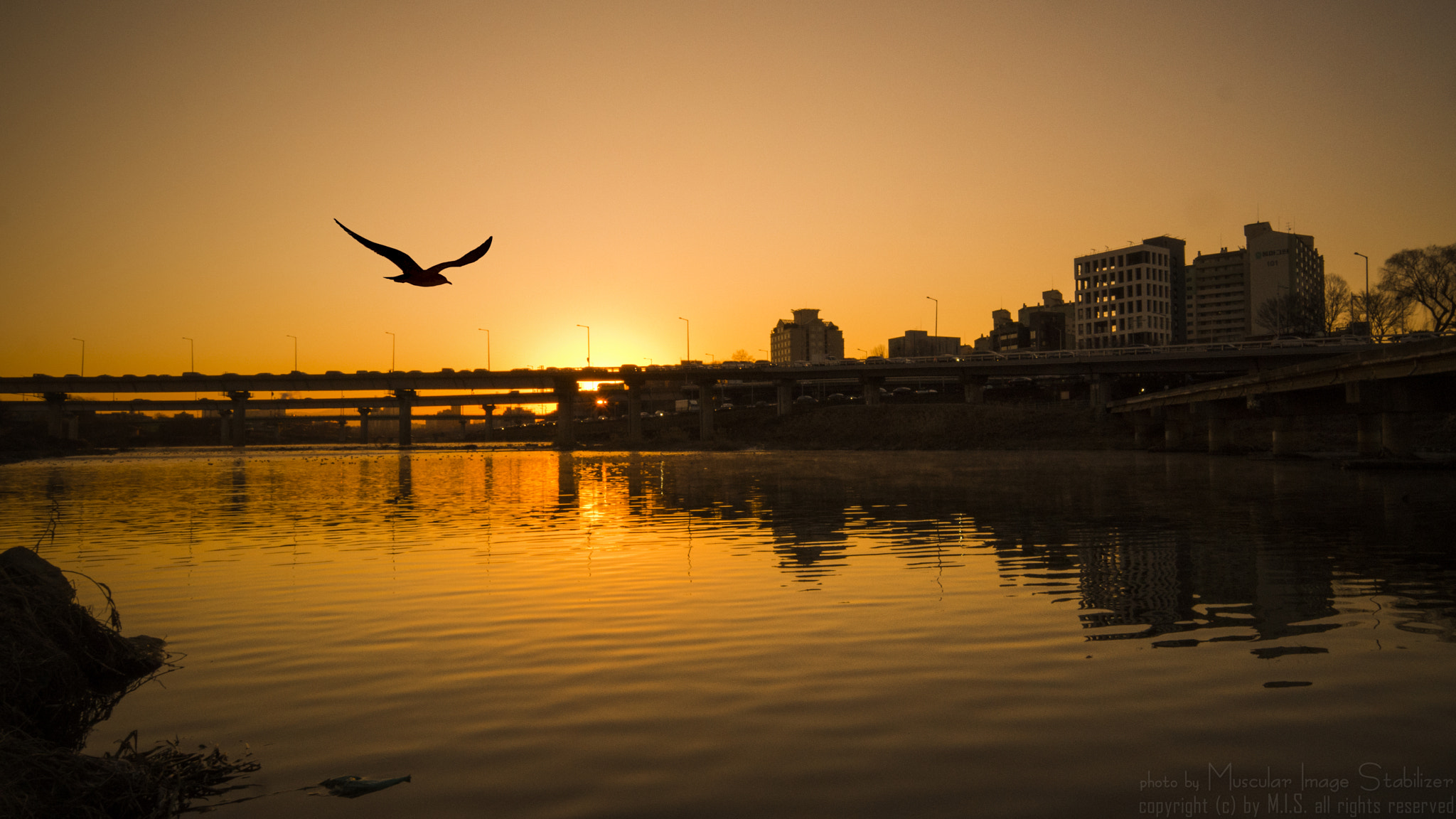 Samsung NX1 + Samsung NX 12-24mm F4-5.6 ED sample photo. Sunrise at the joongrang creek, near the hanyang univ. photography