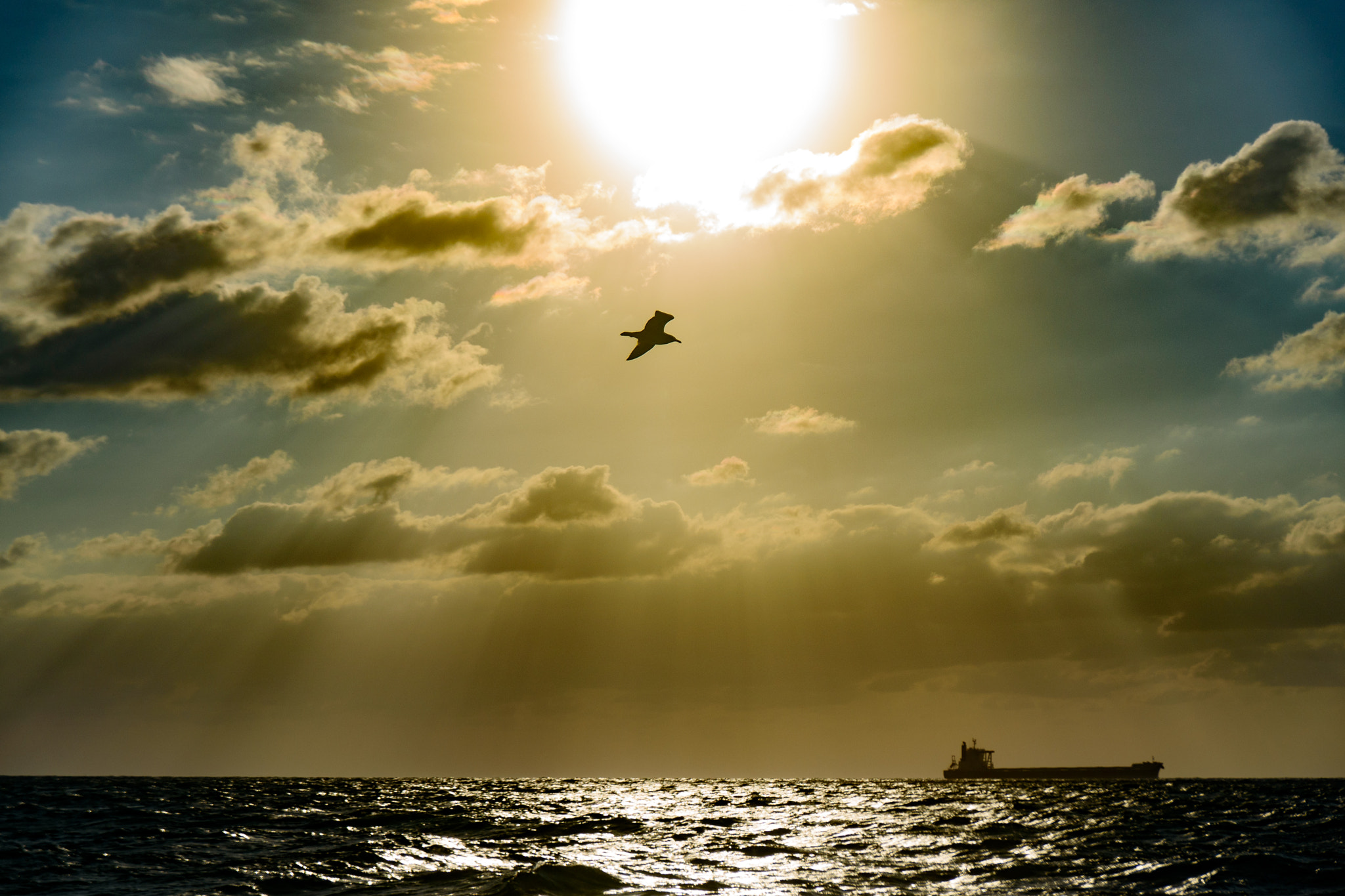 Sigma 17-50mm F2.8 EX DC OS HSM sample photo. Sunset at caesarea, israel photography