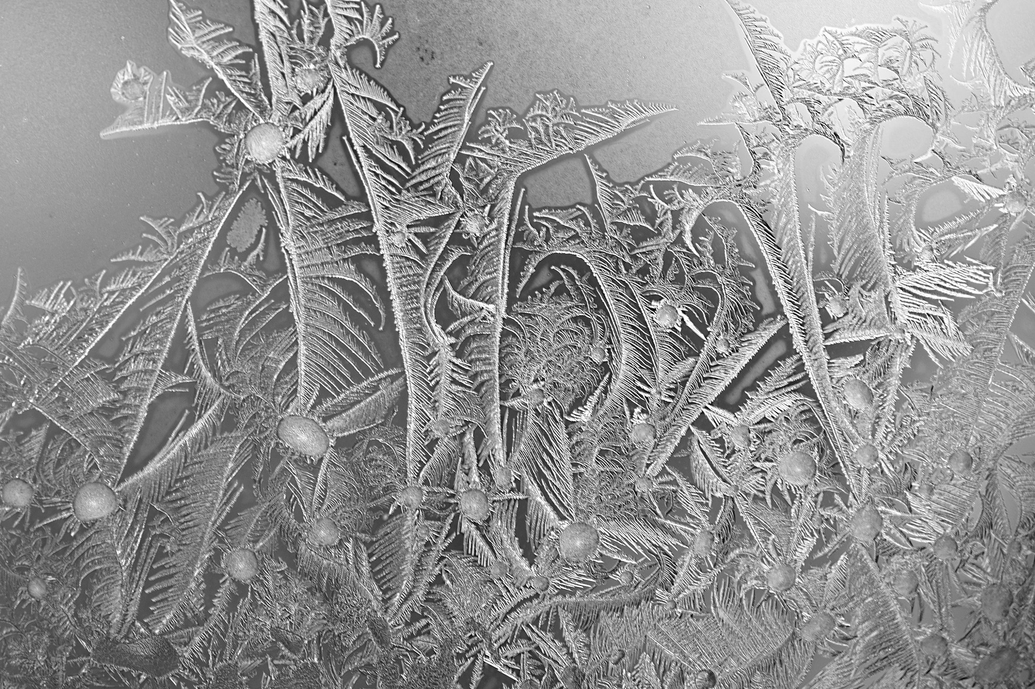 Nikon AF-S DX Micro Nikkor 40mm F2.8 sample photo. Window frost photography