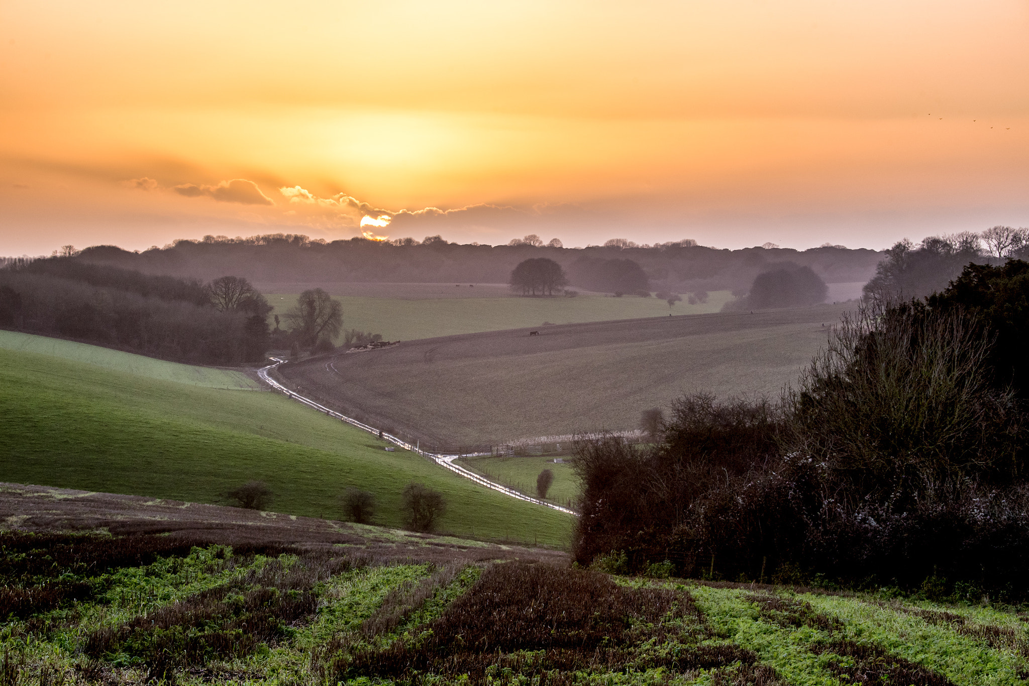 Canon EF 35-350mm F3.5-5.6L USM sample photo. Last light photography