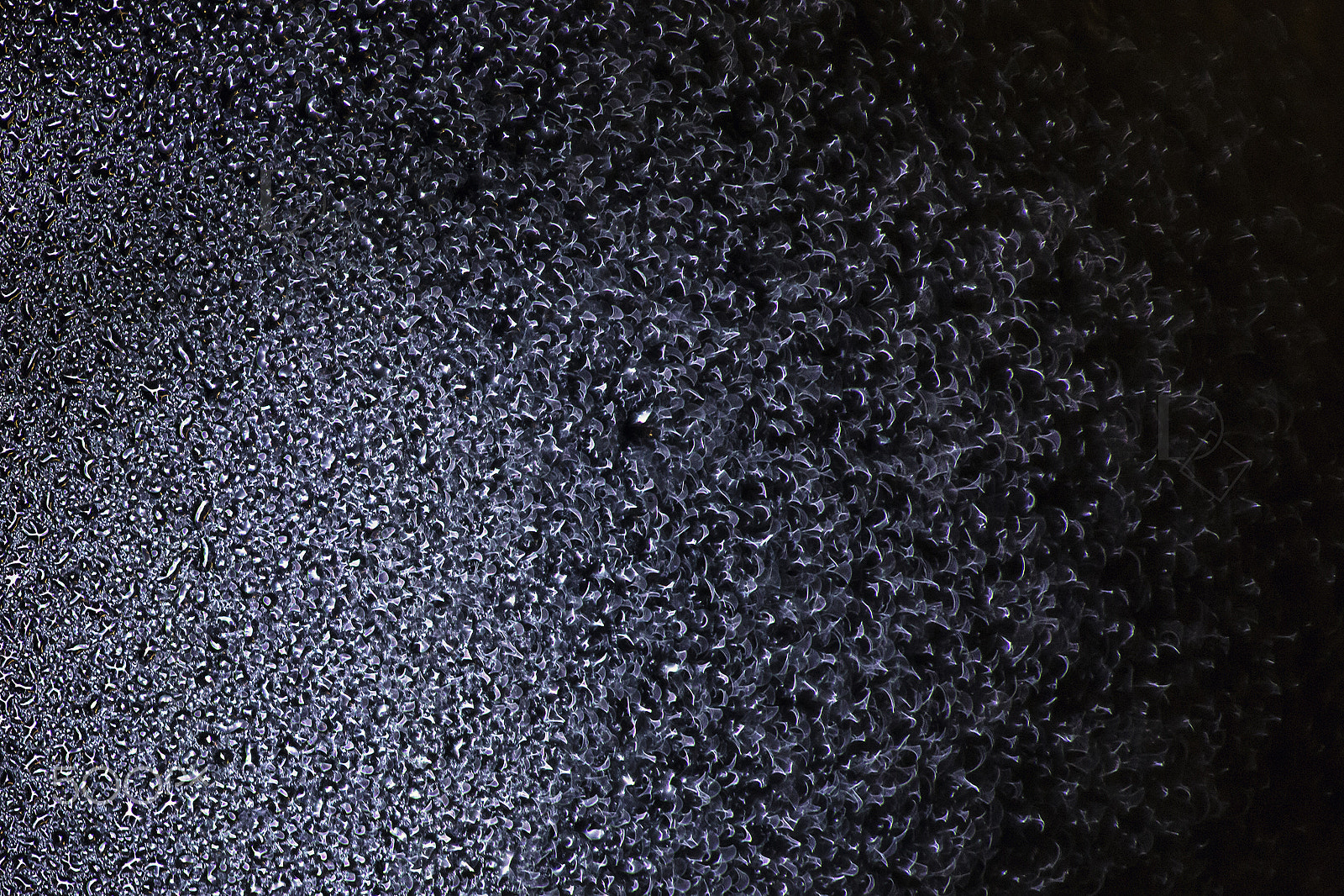 Canon EOS 6D + Canon EF 100mm F2.8 Macro USM sample photo. Bokeh art photography