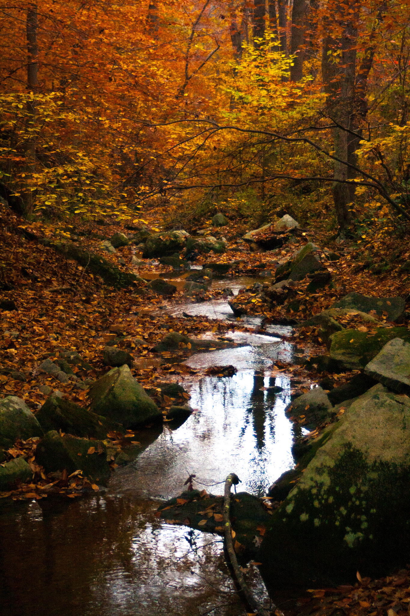 Canon EF 35-70mm f/3.5-4.5A sample photo. Serene photography