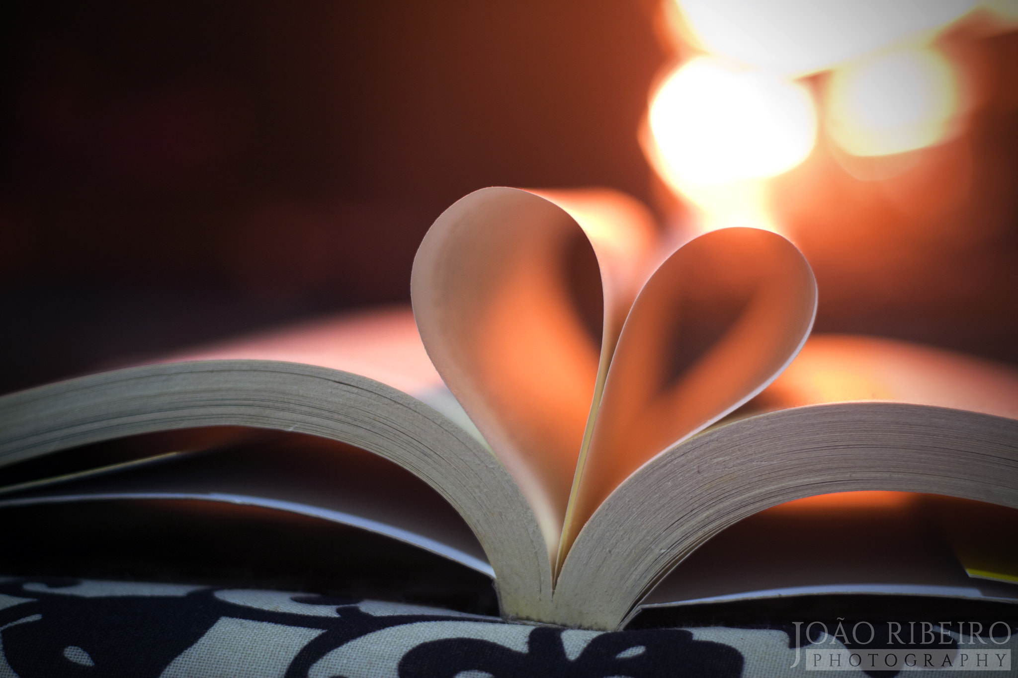 Canon EOS 30D + Canon EF 50mm F1.8 II sample photo. Heart is an open book. photography