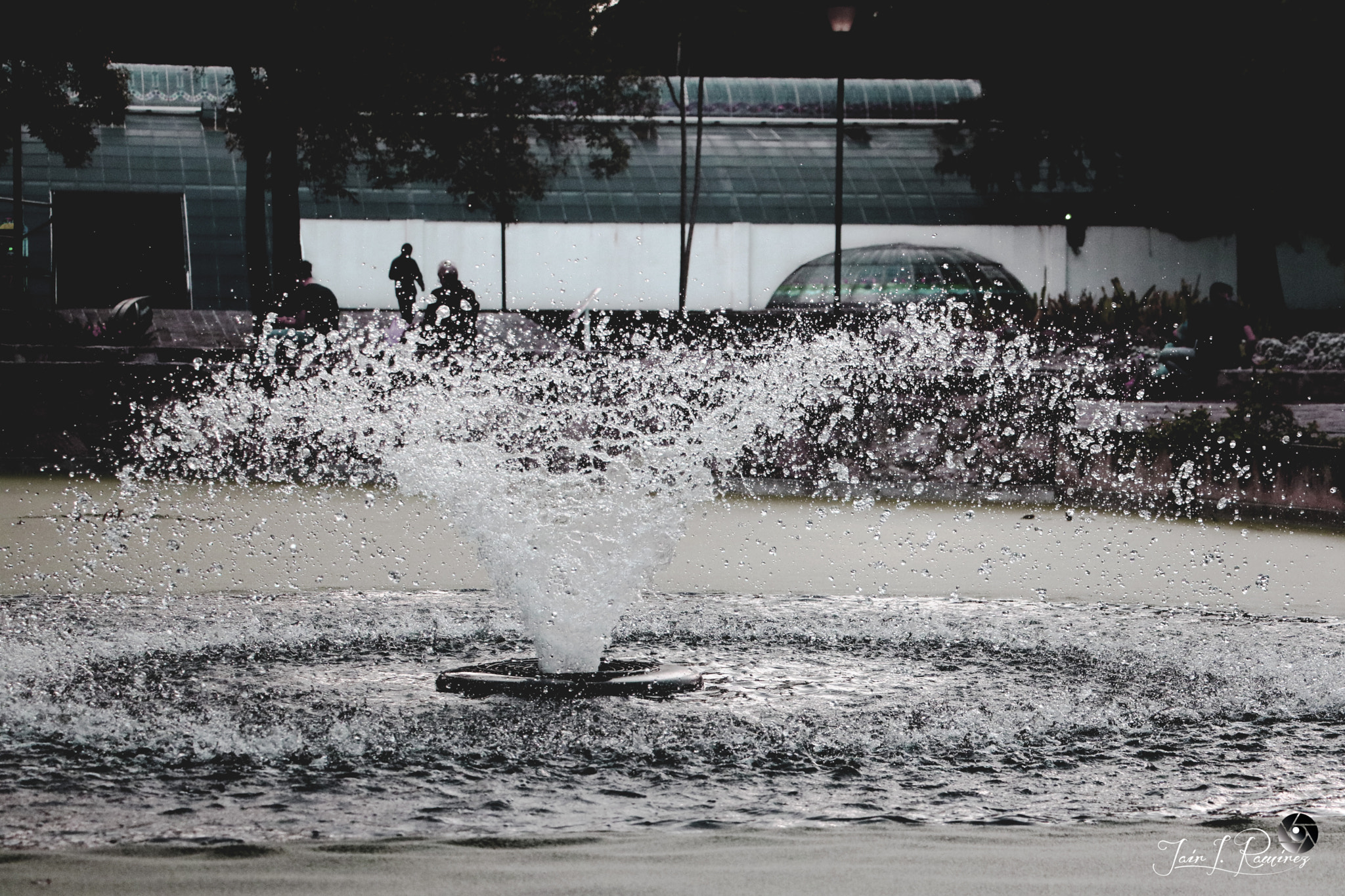 Canon EOS 750D (EOS Rebel T6i / EOS Kiss X8i) sample photo. Fuente photography