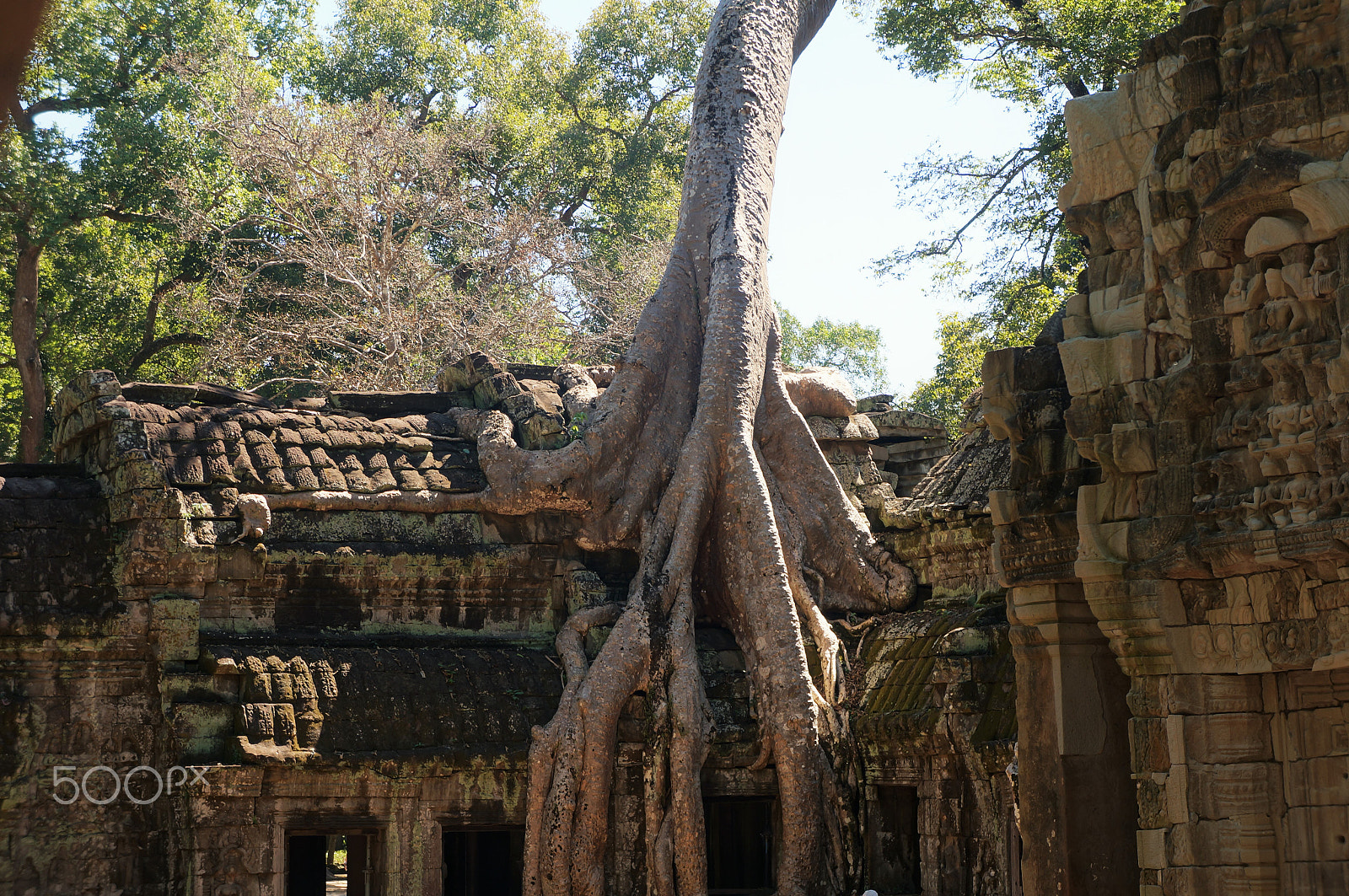 Sony FE 28-70mm F3.5-5.6 OSS sample photo. Angkor wat cambodia photography