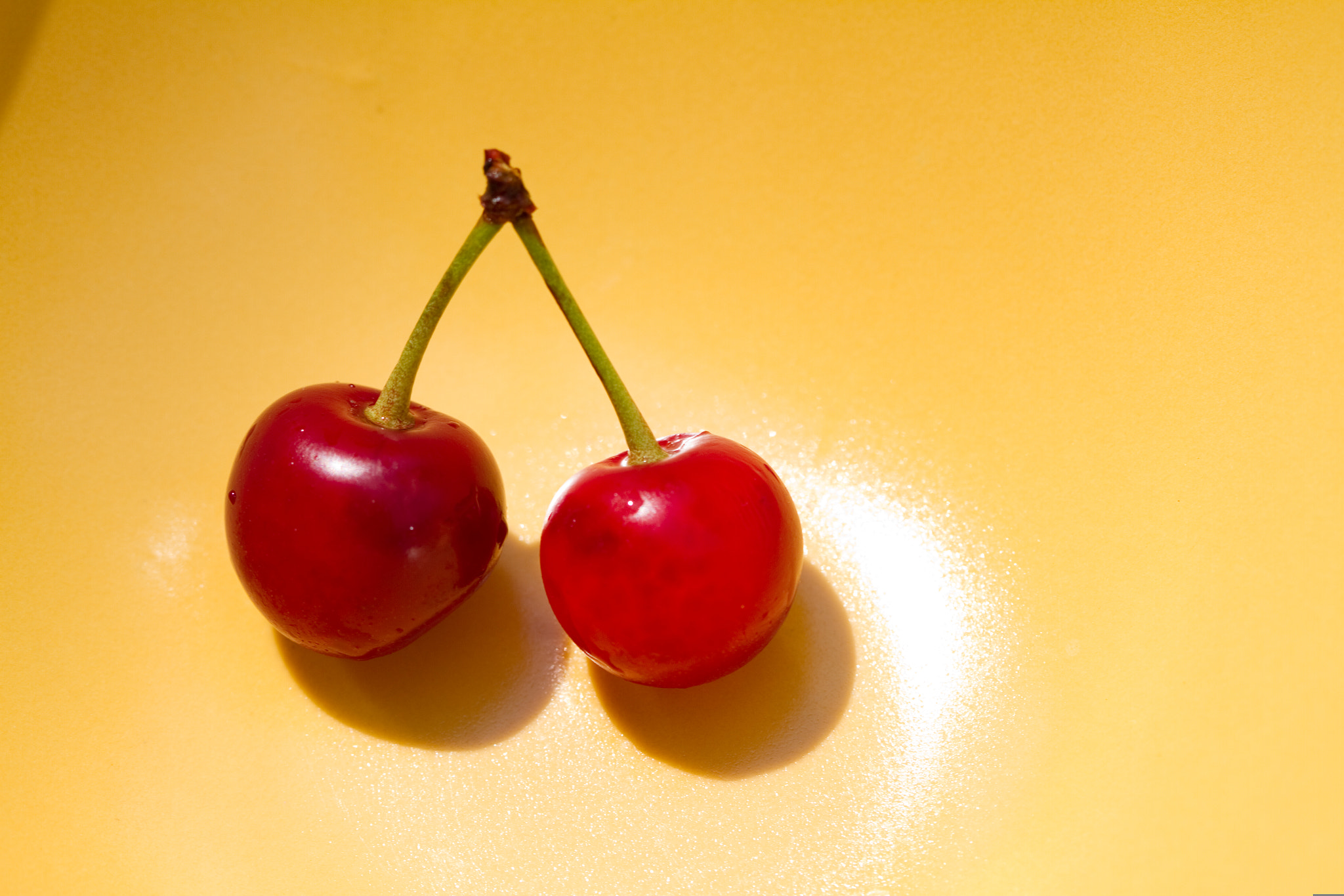 Canon EOS 7D + Canon EF 100mm F2.8 Macro USM sample photo. Cherry pair-y photography