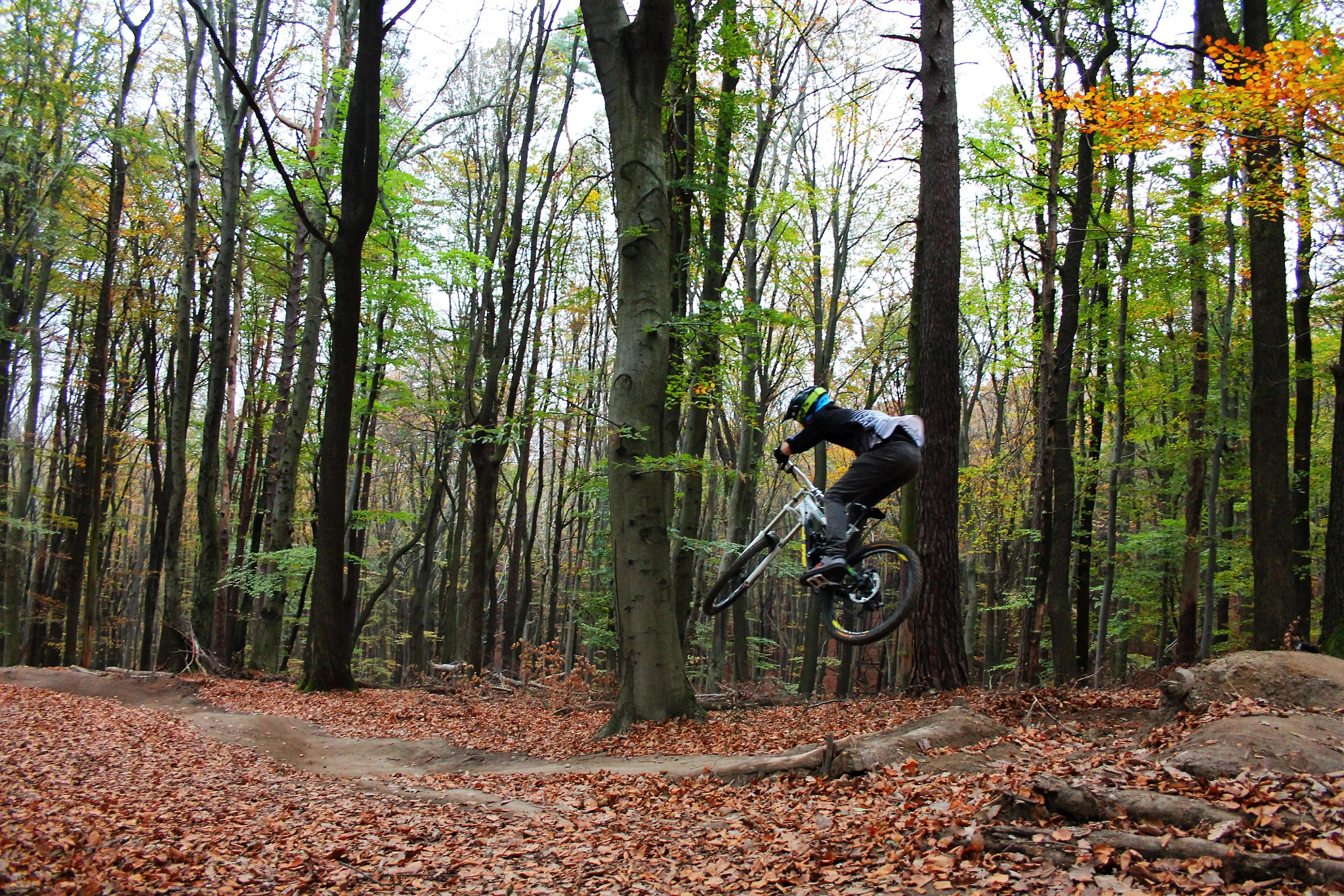 Canon EF-S 18-55mm F3.5-5.6 sample photo. Jumping photography