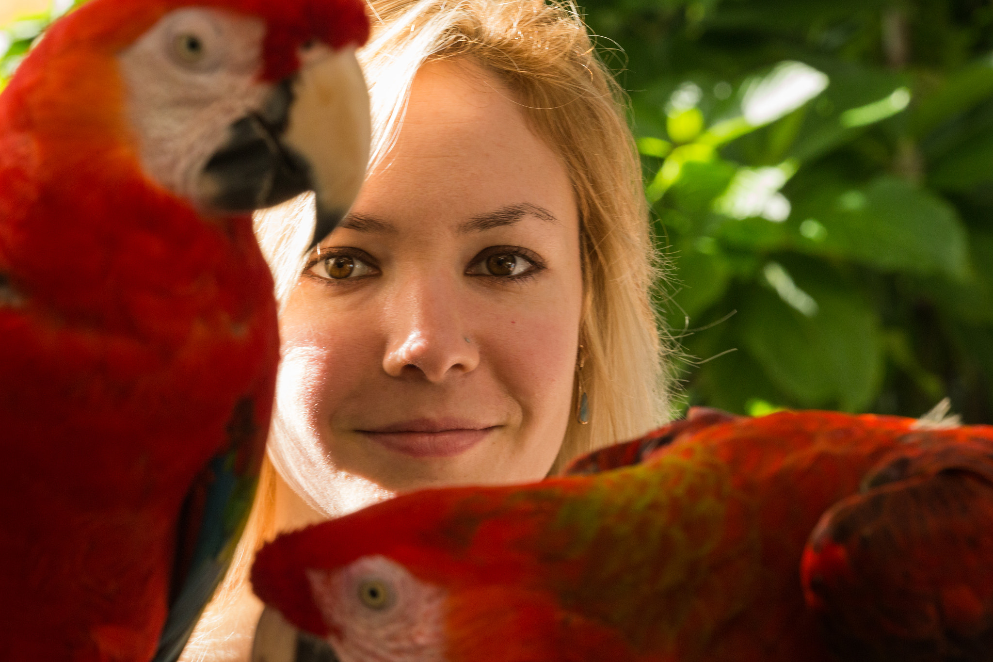 Canon EF 180mm F3.5L Macro USM sample photo. Pretty birds photography