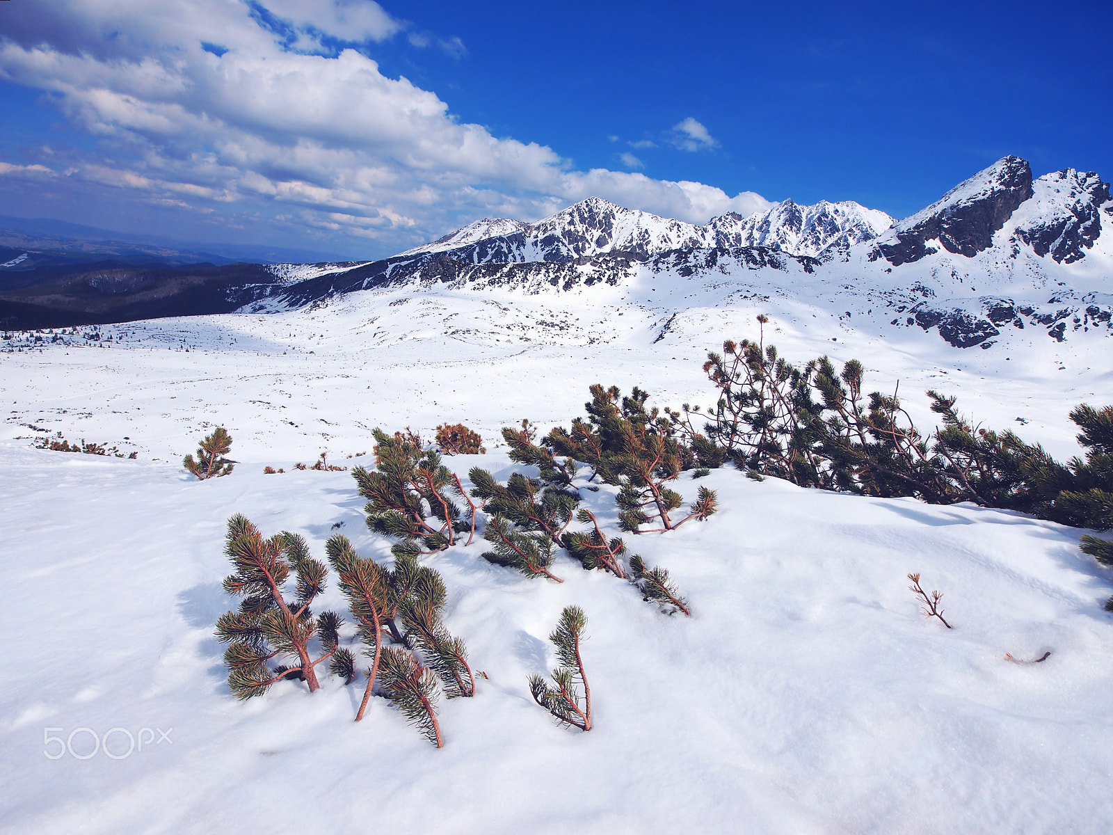 Olympus Zuiko Digital ED 9-18mm F4.0-5.6 sample photo. Winter in tatra mountains photography