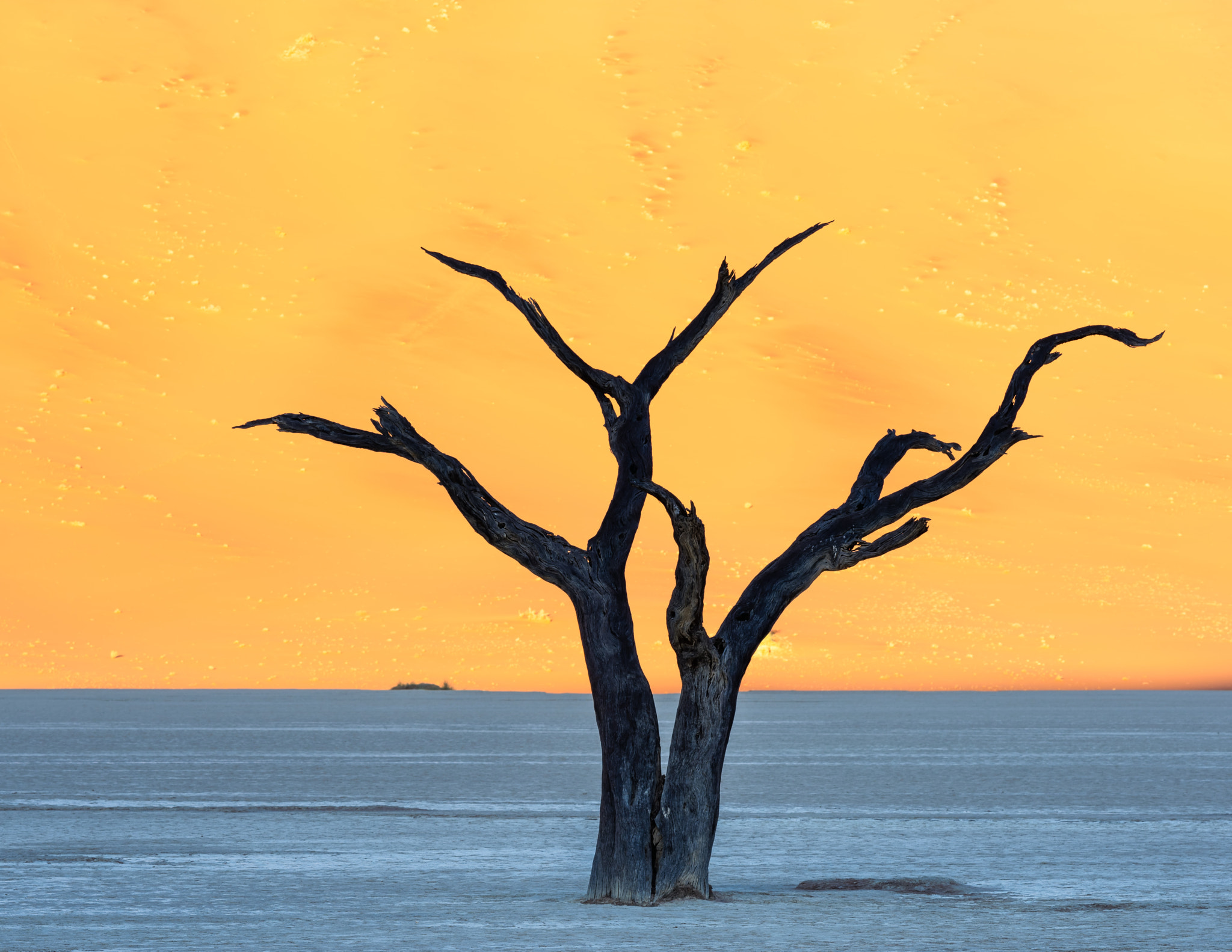 ZEISS Apo Sonnar T* 135mm F2 sample photo. Deadvlei sunrise photography