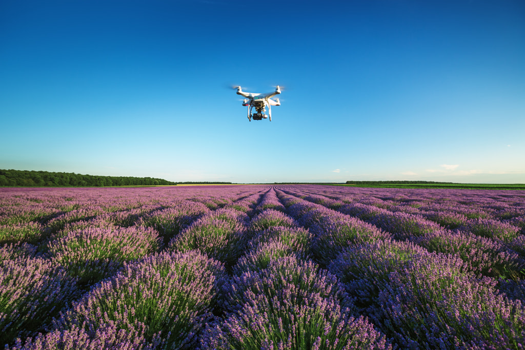 A personal drone flying over beautiful lavender field by Valentin Valkov on 500px.com
