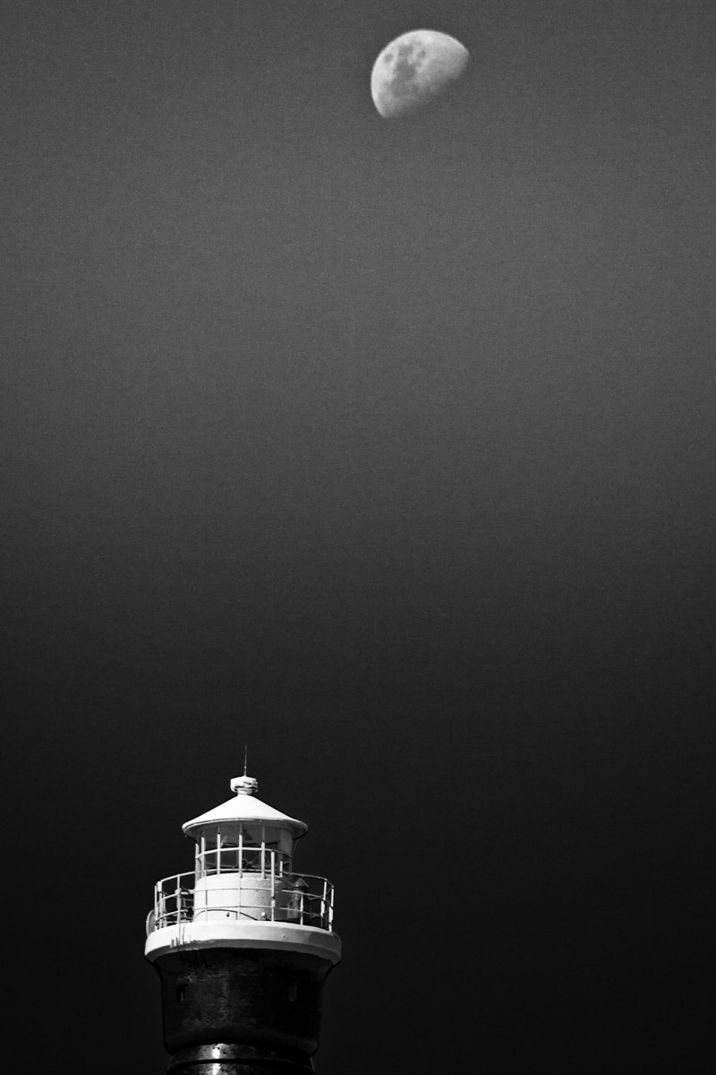 Canon EF 75-300mm f/4-5.6 USM sample photo