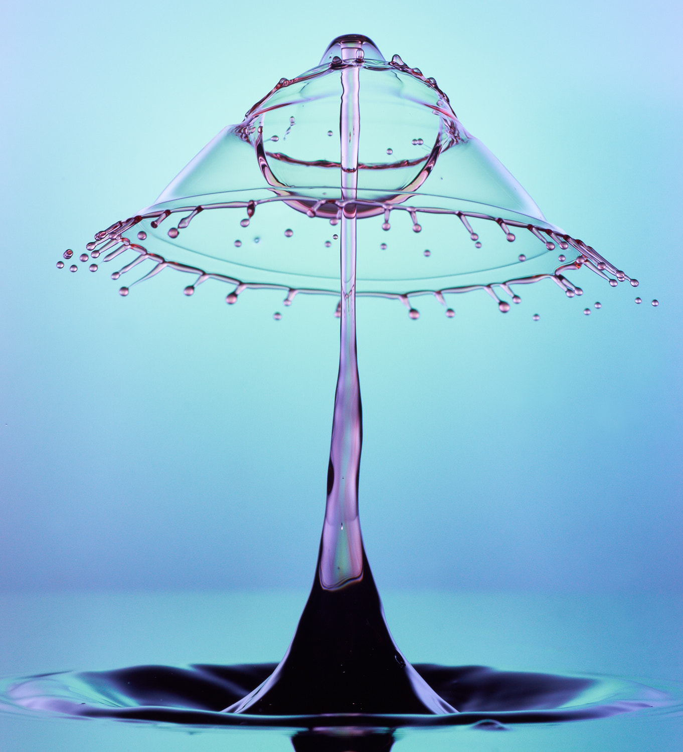 90mm F2.8 sample photo. Collide 40 photography