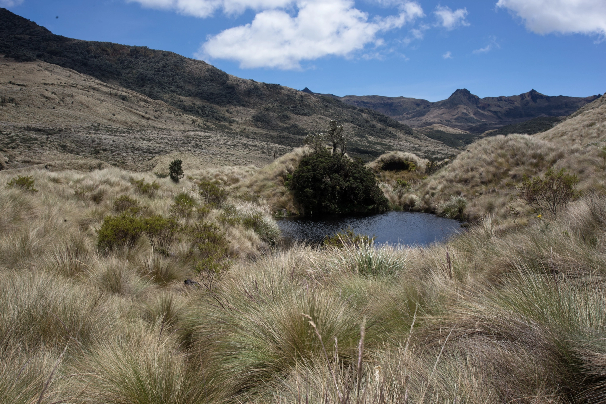 Canon EOS 6D + Canon EF 35-105mm f/4.5-5.6 USM sample photo. Antisana north side humedal 1 photography