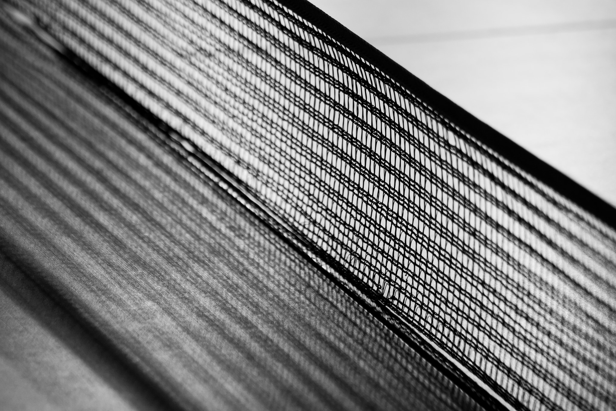 Canon EF 75-300mm f/4-5.6 USM sample photo. Berlin photography