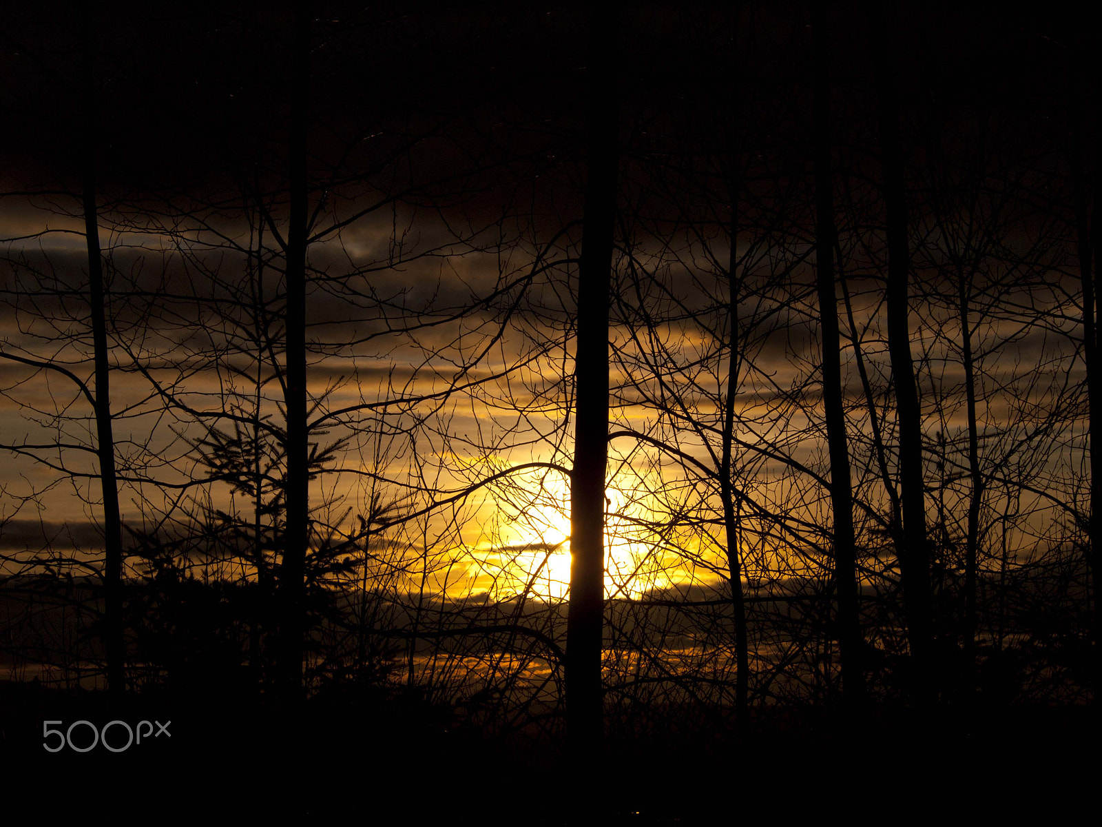 Olympus PEN E-P1 sample photo. Sunset photography