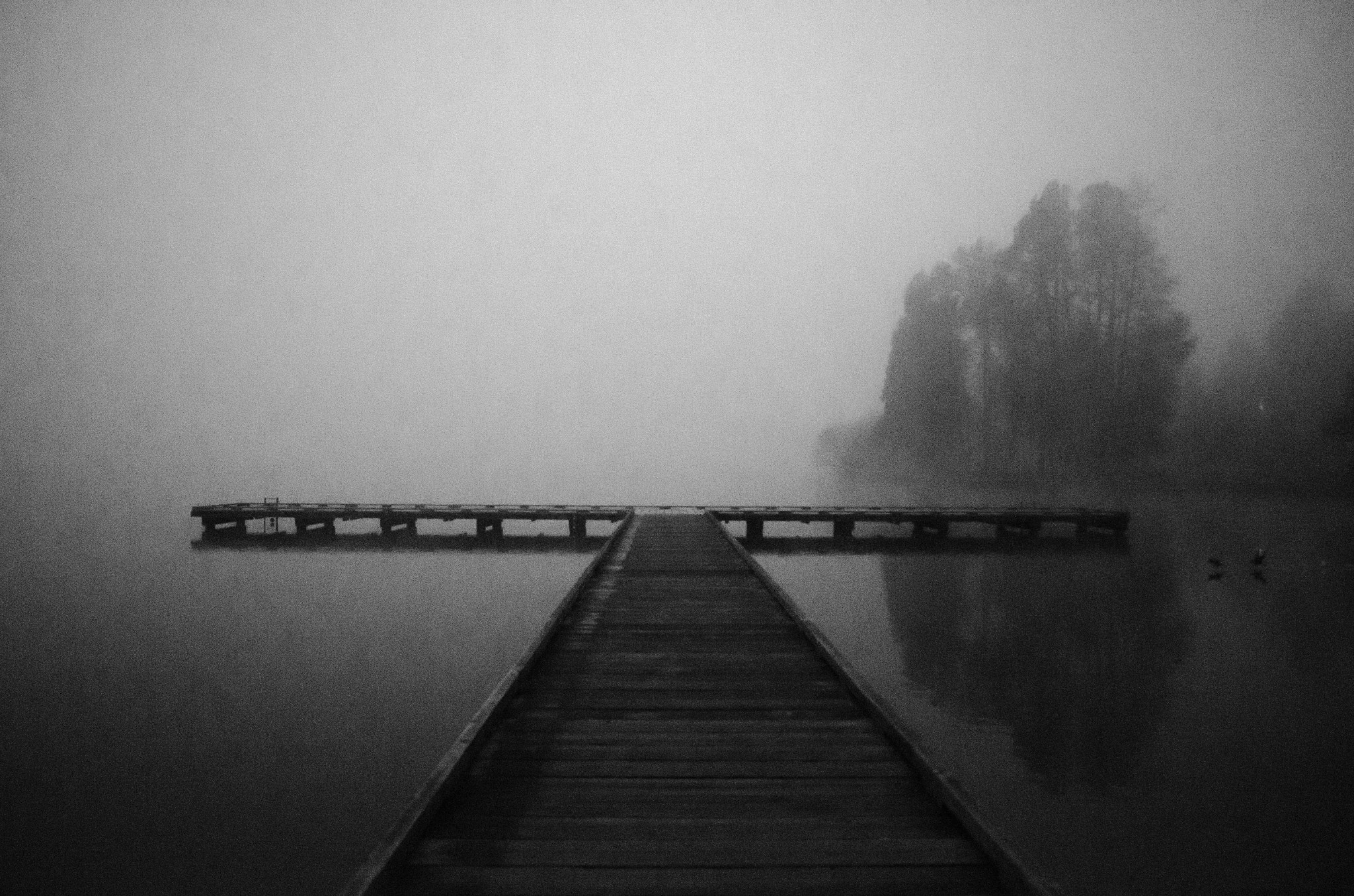 Sigma 18-50mm F2.8-4.5 DC OS HSM sample photo. Fog at dawn photography