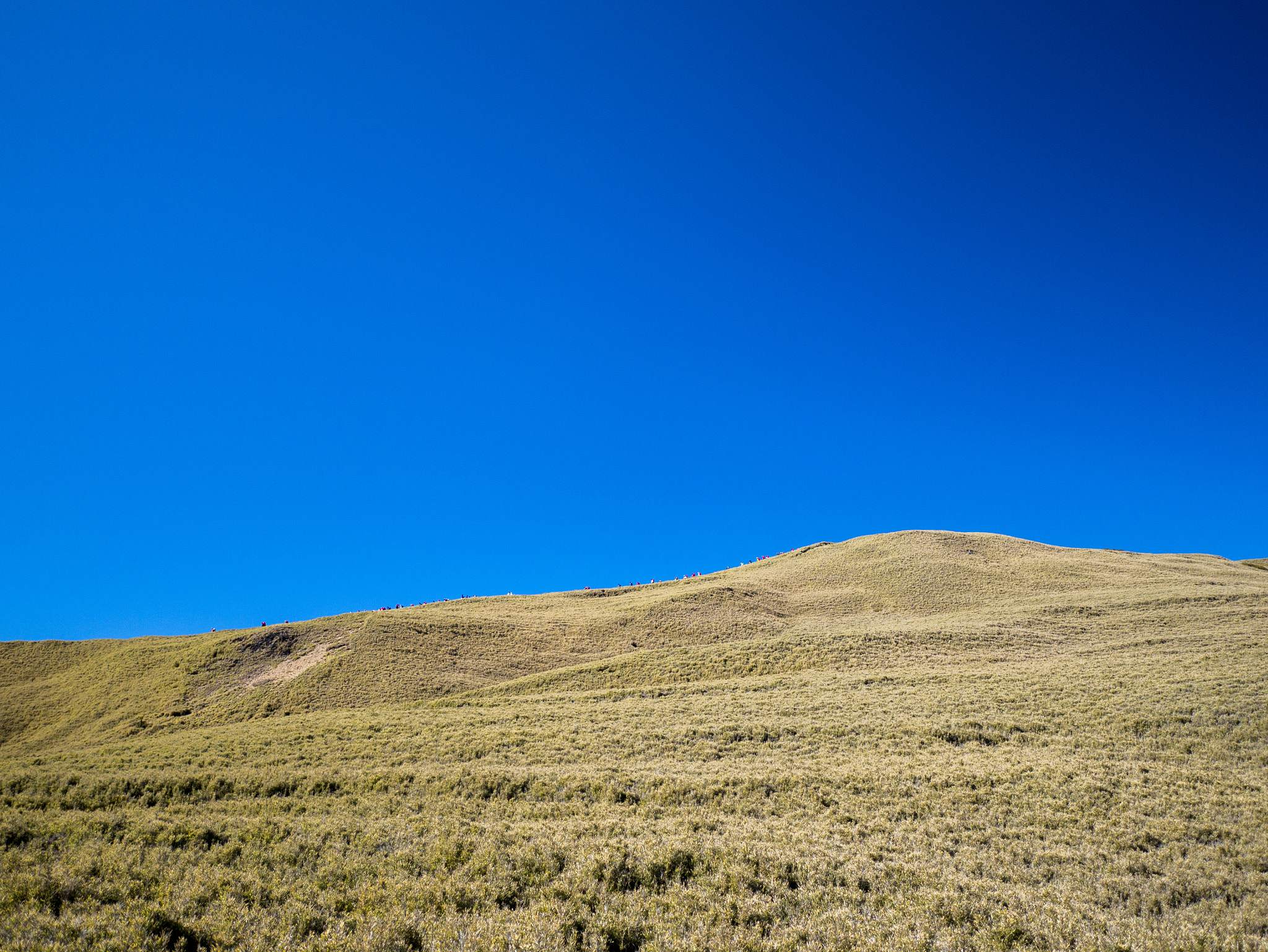 Panasonic Lumix DMC-GX7 + LEICA DG SUMMILUX 15/F1.7 sample photo. Windows xp photography