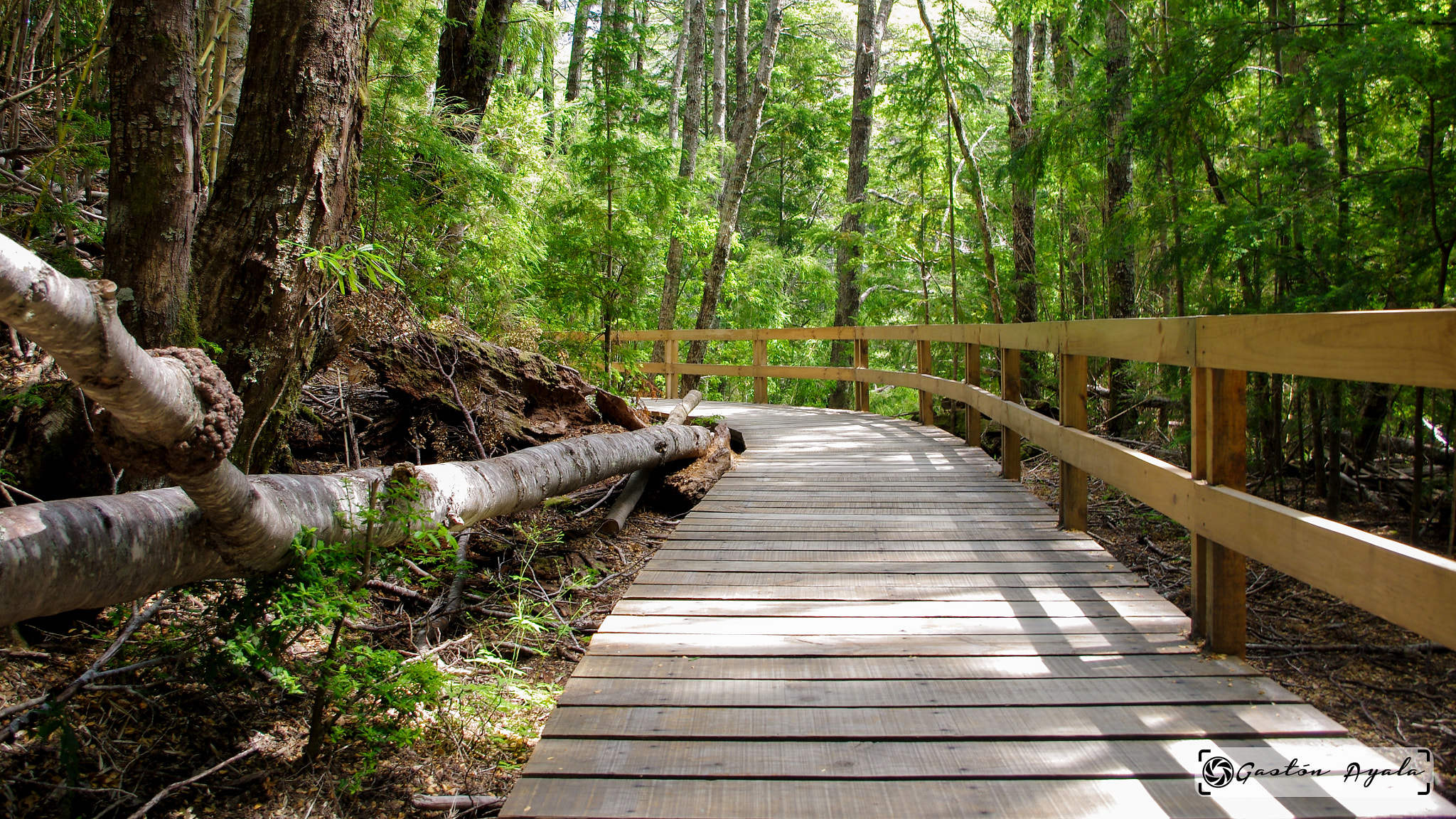smc PENTAX-DA L 18-55mm F3.5-5.6 sample photo. Wooden trail photography