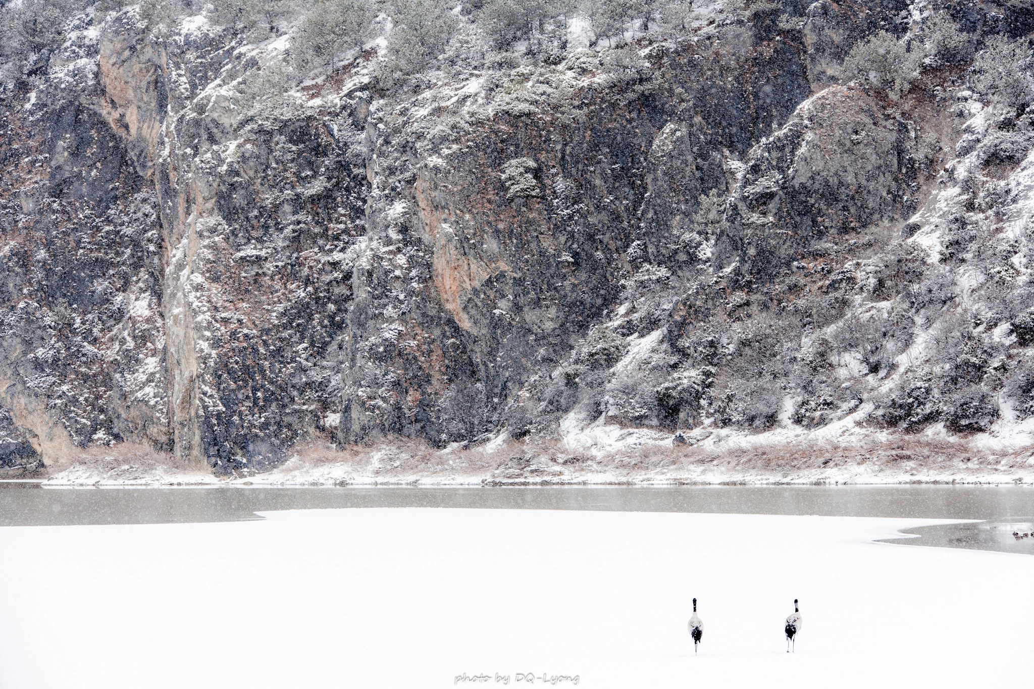 Canon EF 28-300mm F3.5-5.6L IS USM sample photo. 《雪鹤观山图》 photography