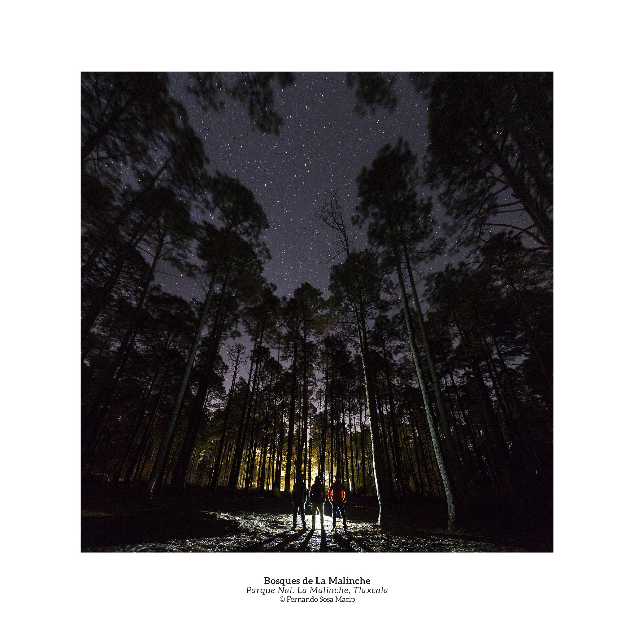 Canon EF-S 10-22mm F3.5-4.5 USM sample photo. Bosques de la malinche photography