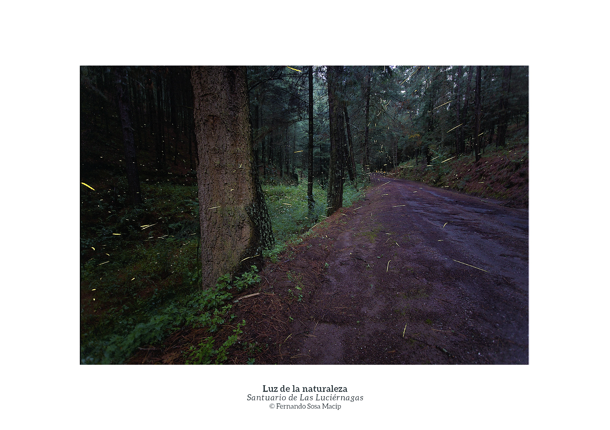 Canon EF-S 10-22mm F3.5-4.5 USM sample photo. Luz de la naturaleza photography
