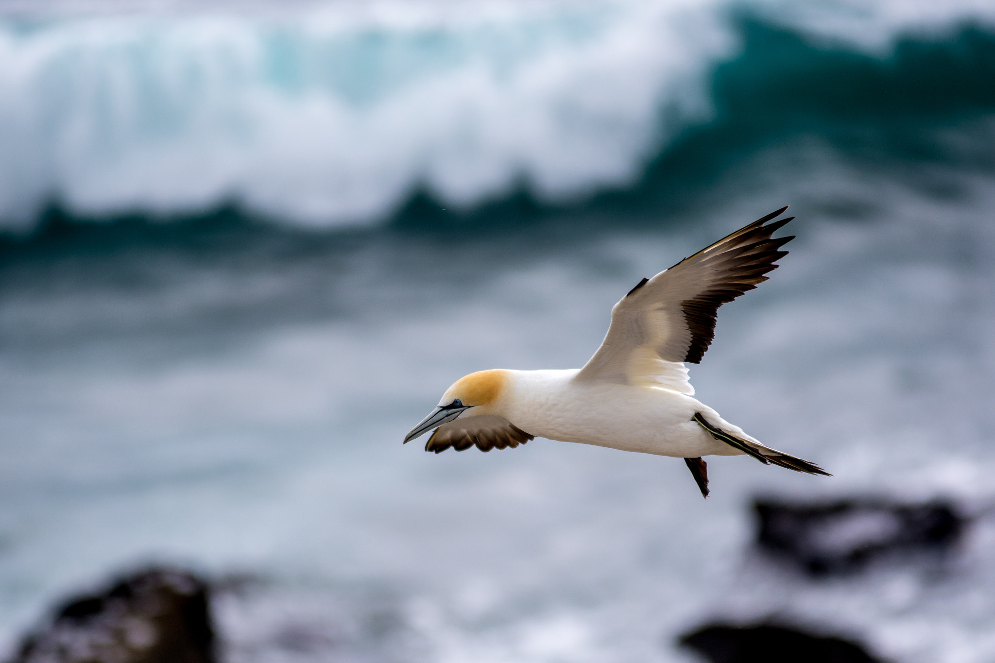 AF-S Zoom-Nikkor 80-200mm f/2.8D IF-ED sample photo. Mind the waves photography