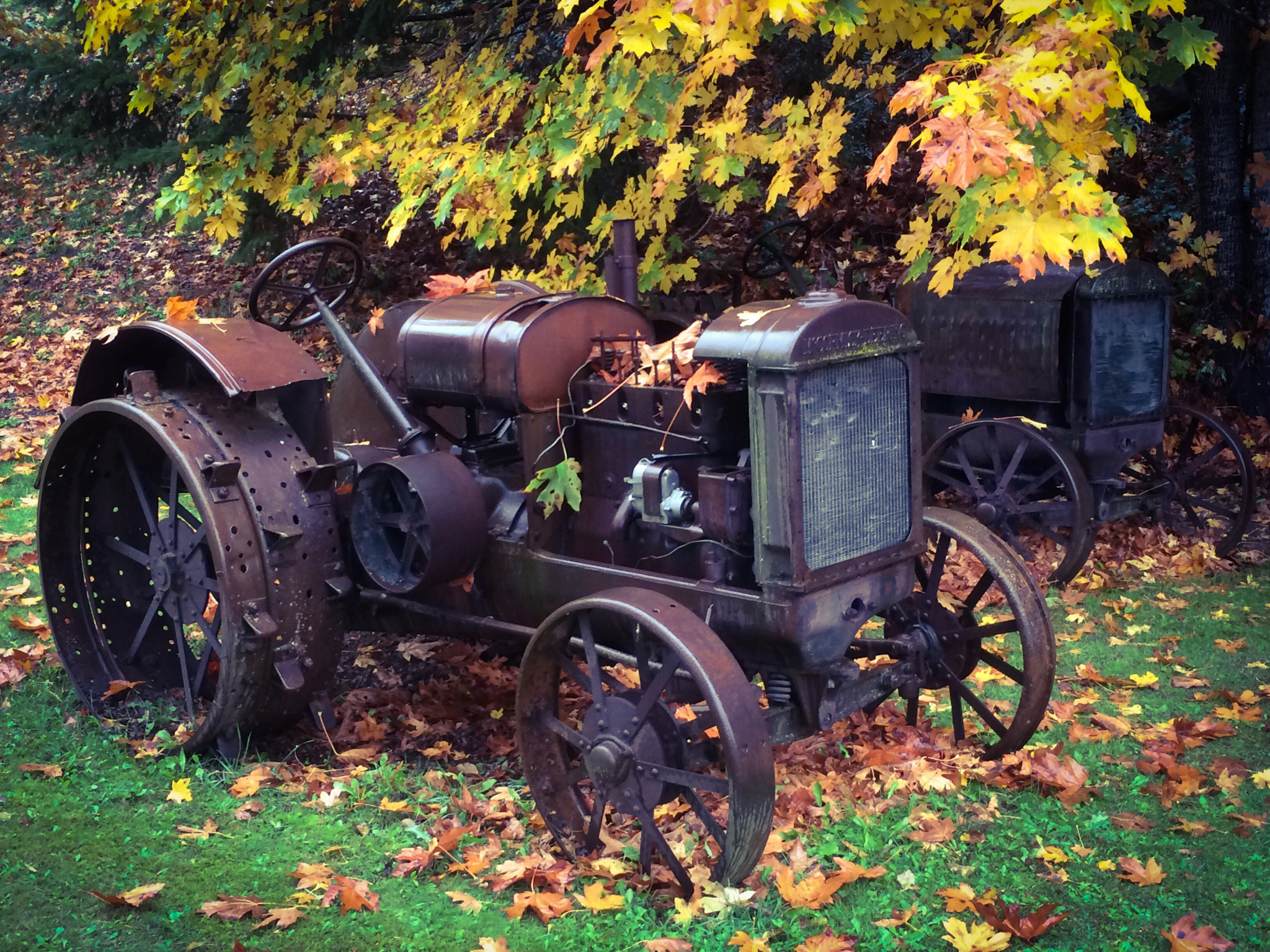 Apple iPhone6,1 sample photo. Old steel wheeled farm tractor. autumn vancouver island, bc, canada. photography