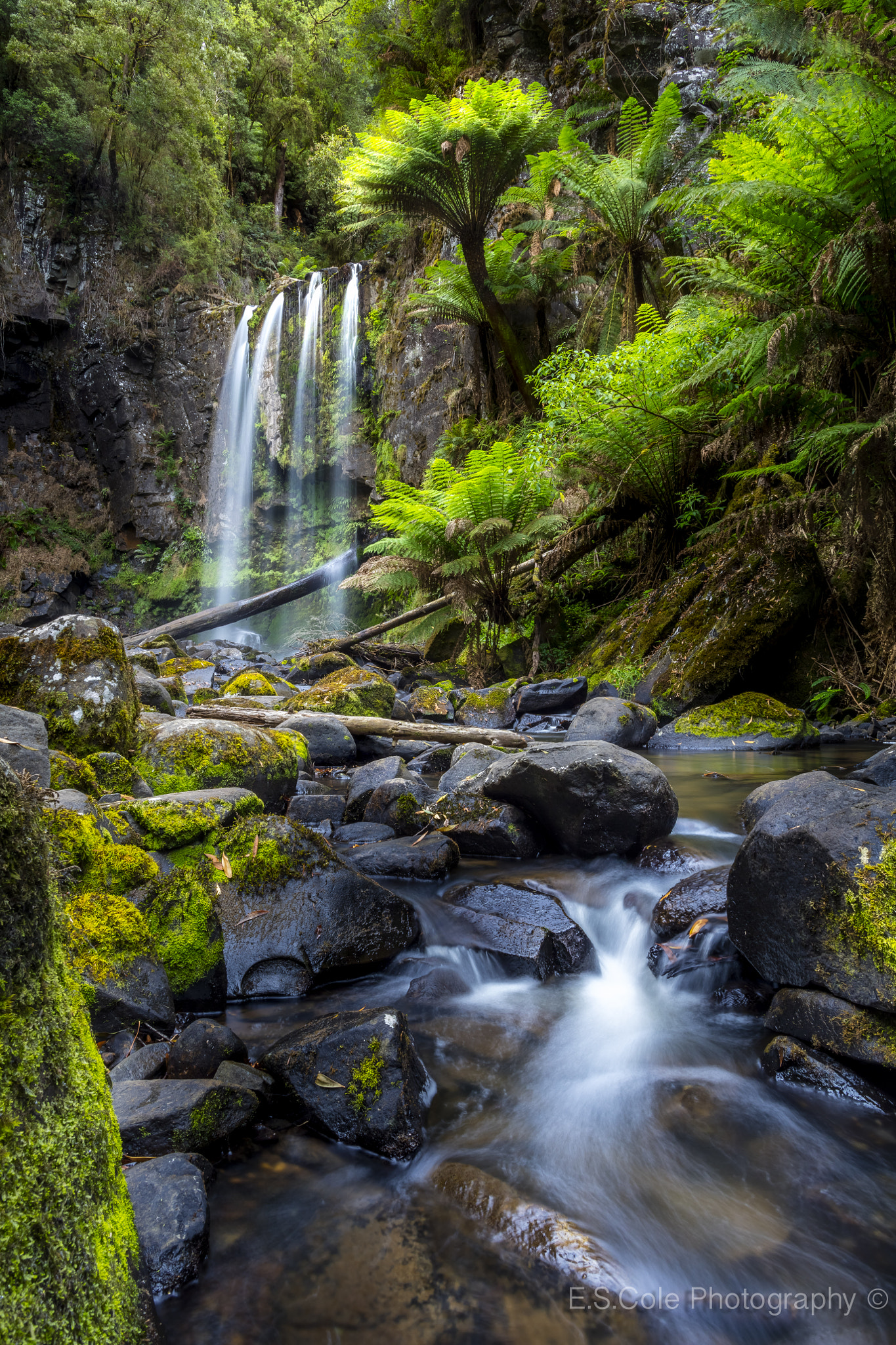 Canon EF 24mm F1.4L II USM sample photo. Hopeton falls photography