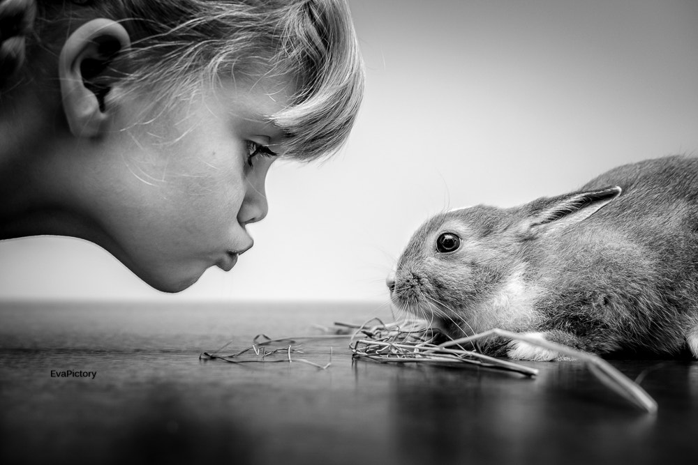 Sigma 18-35mm f/1.8 DC HSM sample photo. Friends forever photography