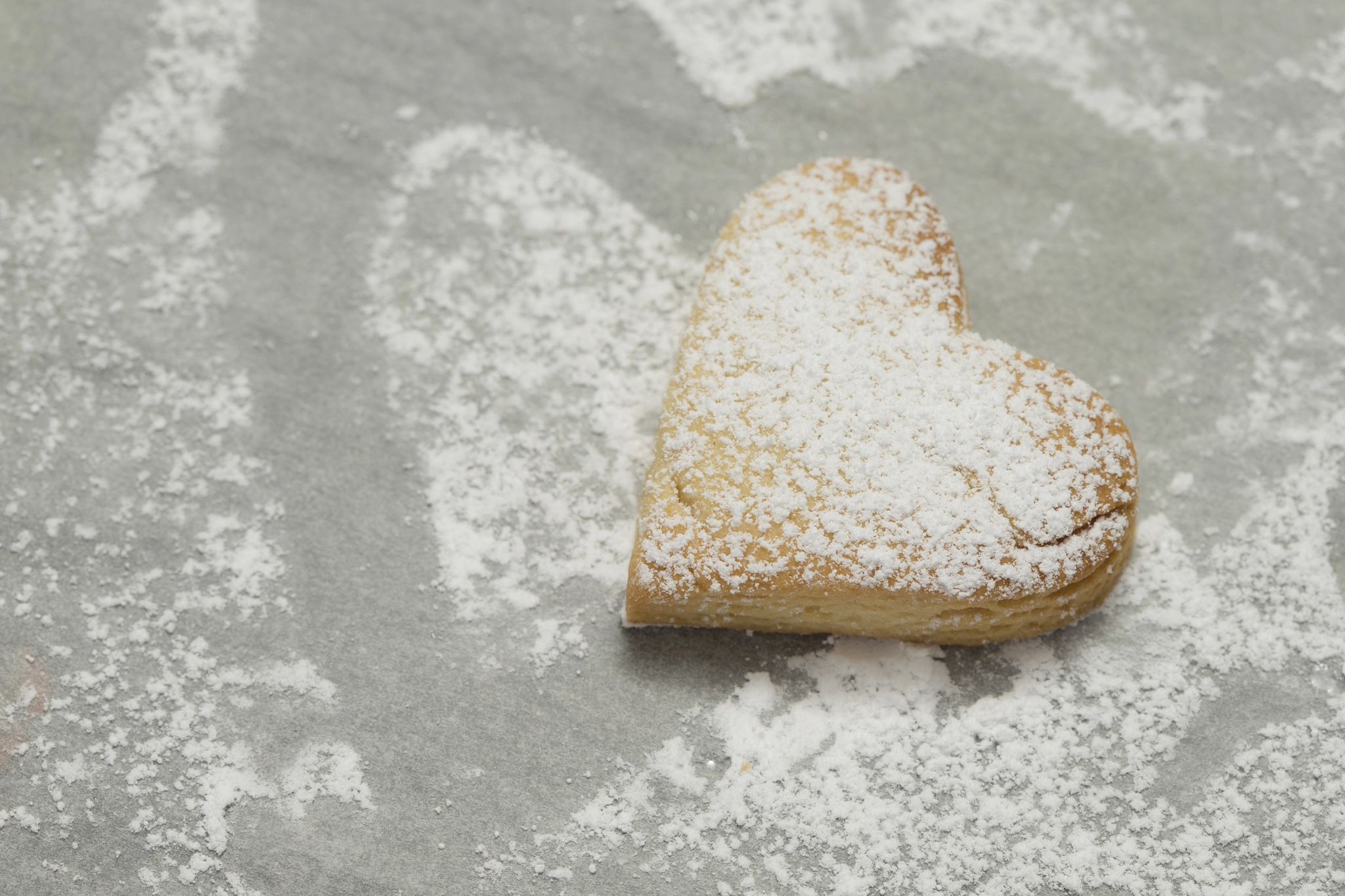 Canon EOS-1D X + Canon EF 100mm F2.8 Macro USM sample photo. Close-up of baked cookie powdered with sugar photography