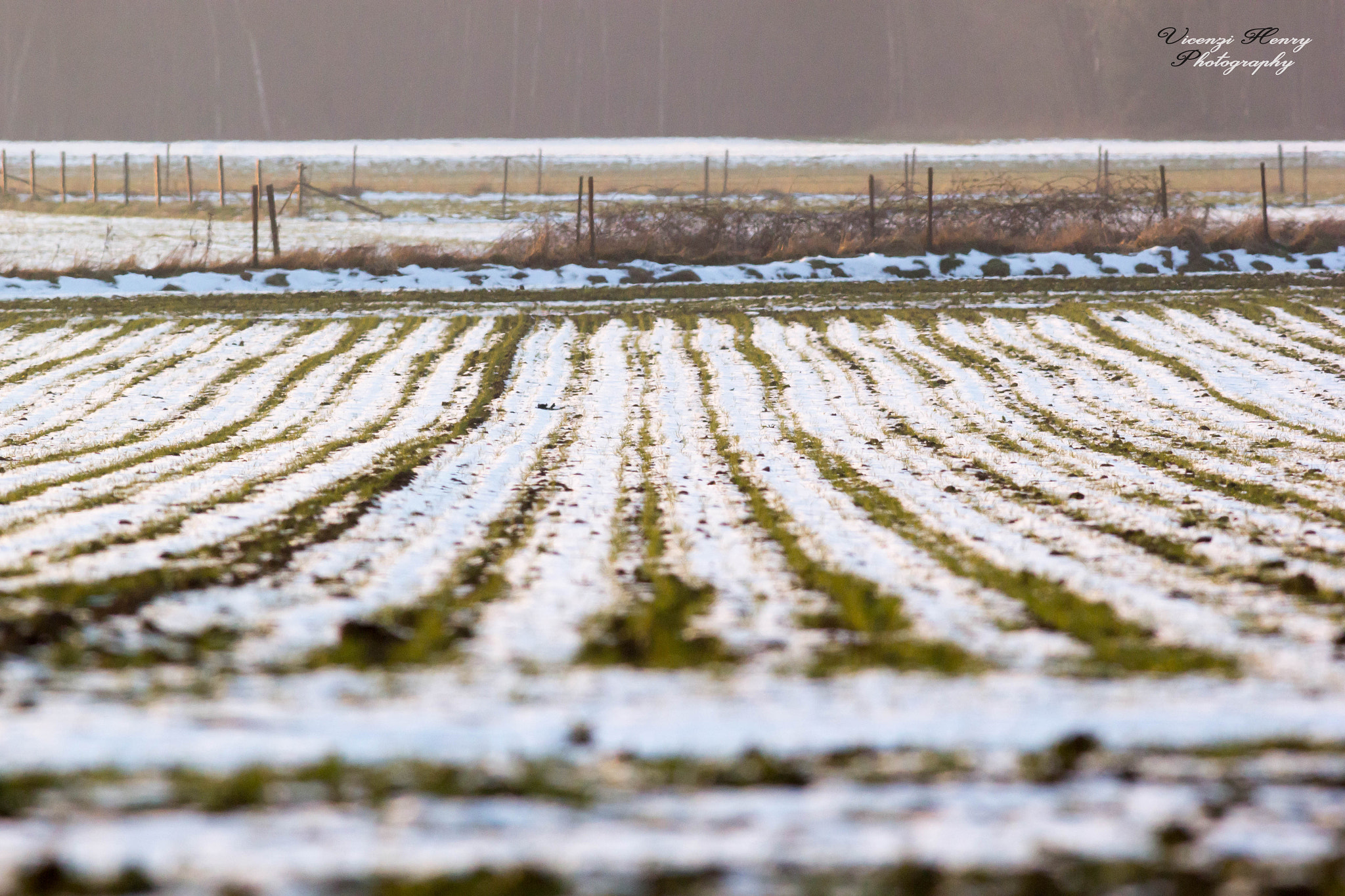 Canon EOS 60D + Canon EF 400mm F5.6L USM sample photo. Rural state photography