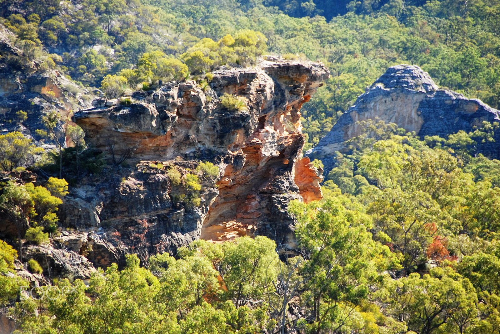 Nikon D60 sample photo. Stunning gorge photography