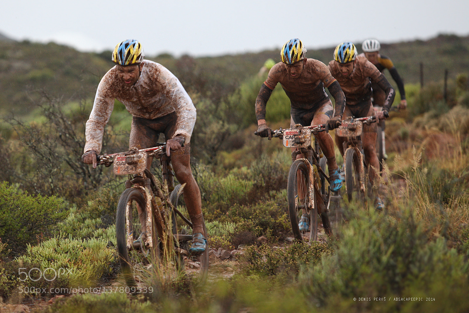 Canon EOS 5D Mark II sample photo. Bulls team.jpg photography