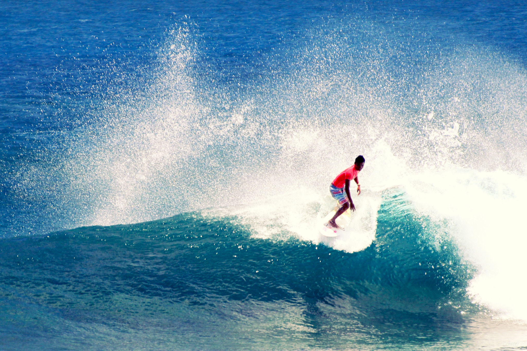 Canon EOS 600D (Rebel EOS T3i / EOS Kiss X5) + Canon 70-300mm sample photo. Surfcool photography