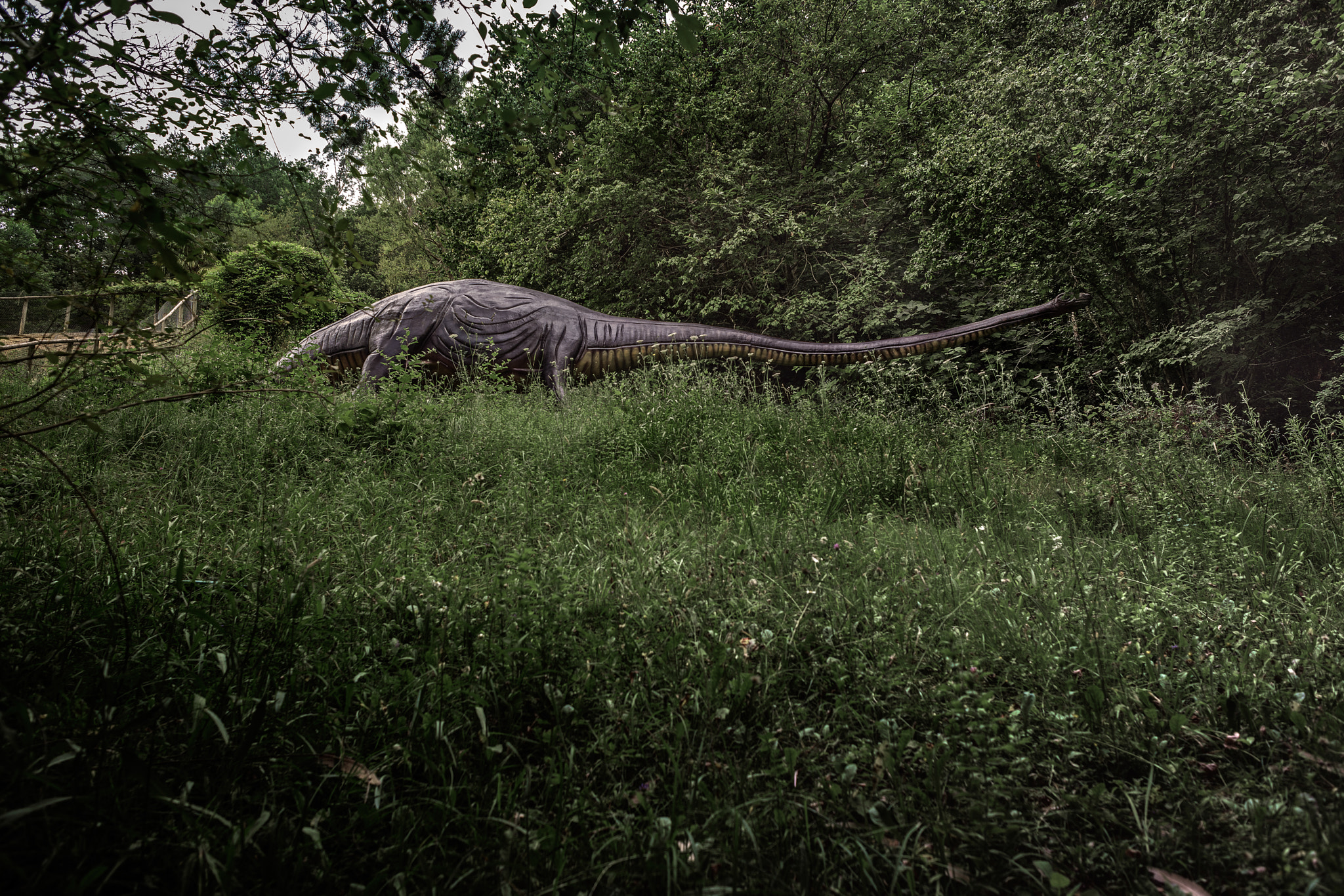 Nikon D800 + Nikon AF Nikkor 24mm F2.8D sample photo. Mamenchisaurus photography