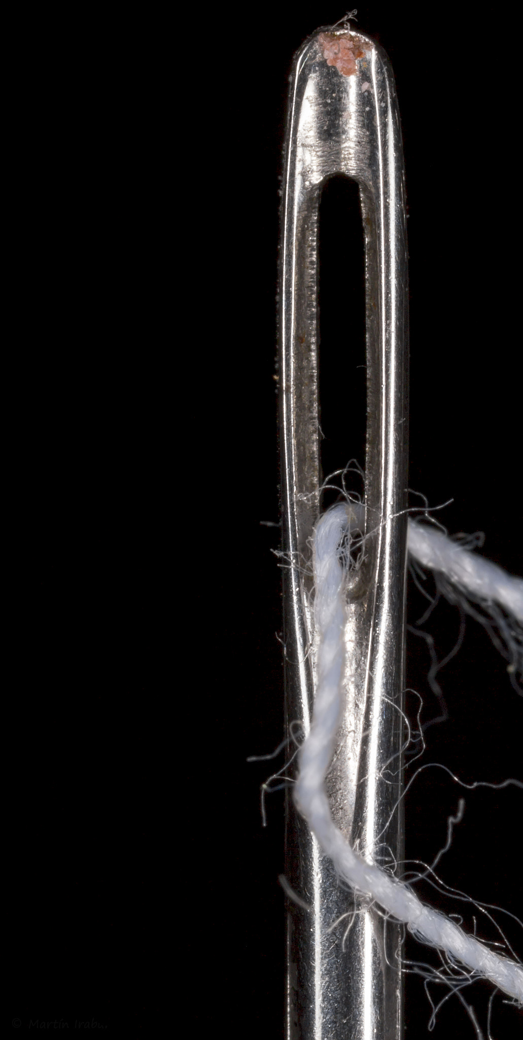 Canon MP-E 65mm F2.5 1-5x Macro Photo sample photo. Aguja enhebrada - threaded needle photography