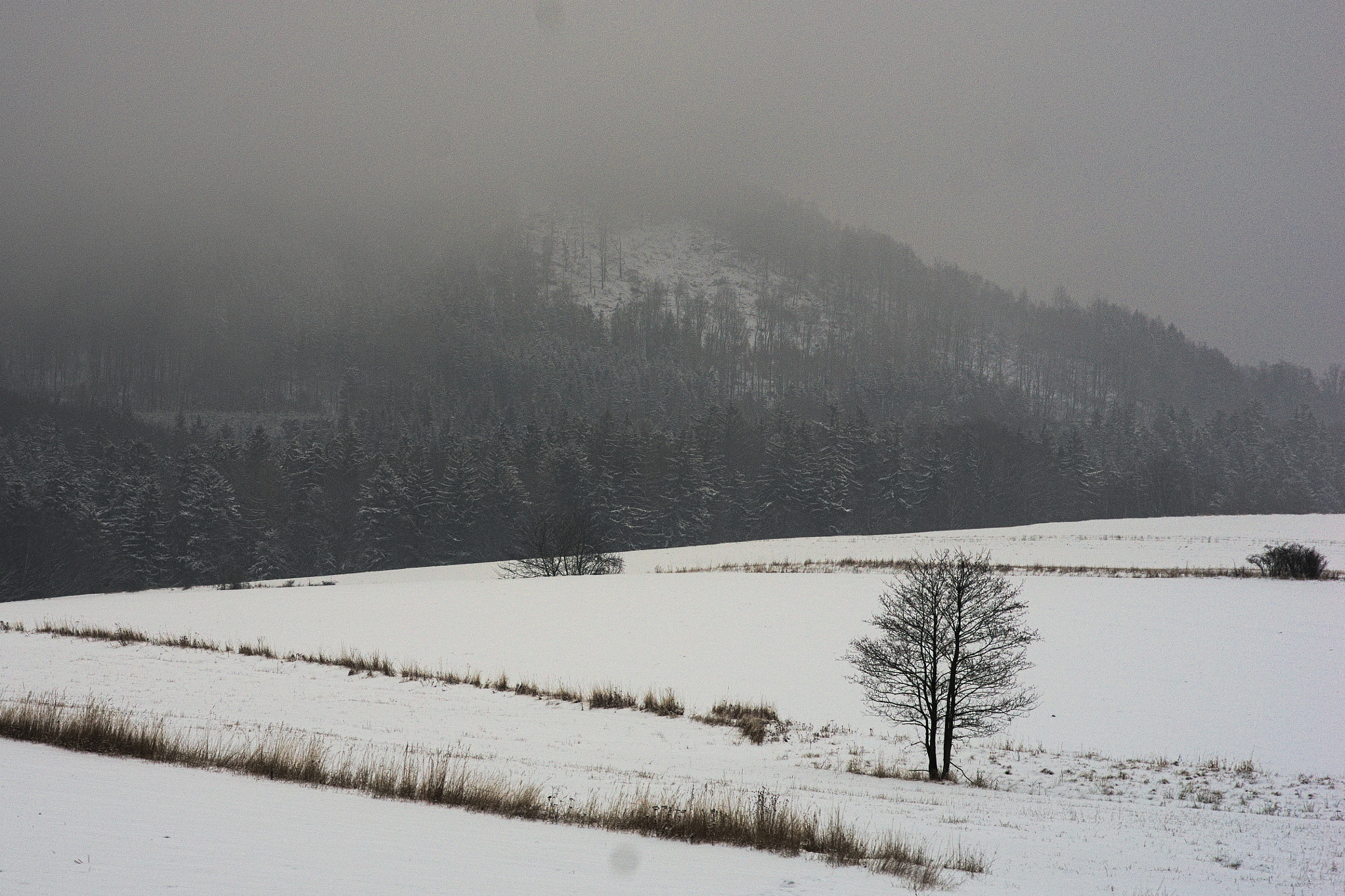 Pentax K-5 + Pentax smc DA 70mm F2.4 AL Limited sample photo. Hillsides near pisary photography