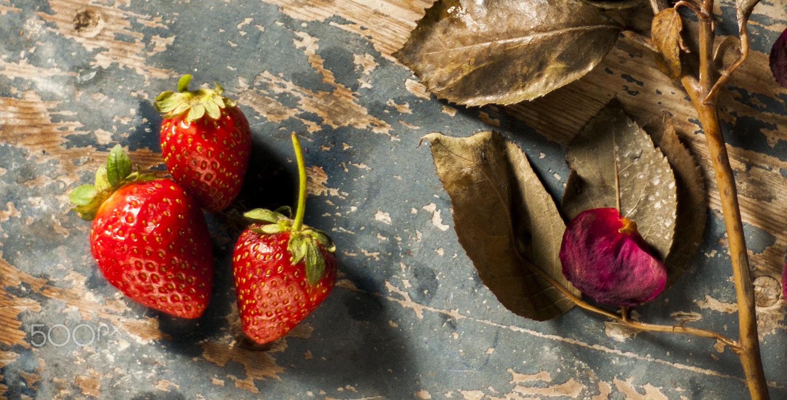 Sony Alpha DSLR-A700 + Minolta AF 50mm F1.7 sample photo. Strawberry! photography