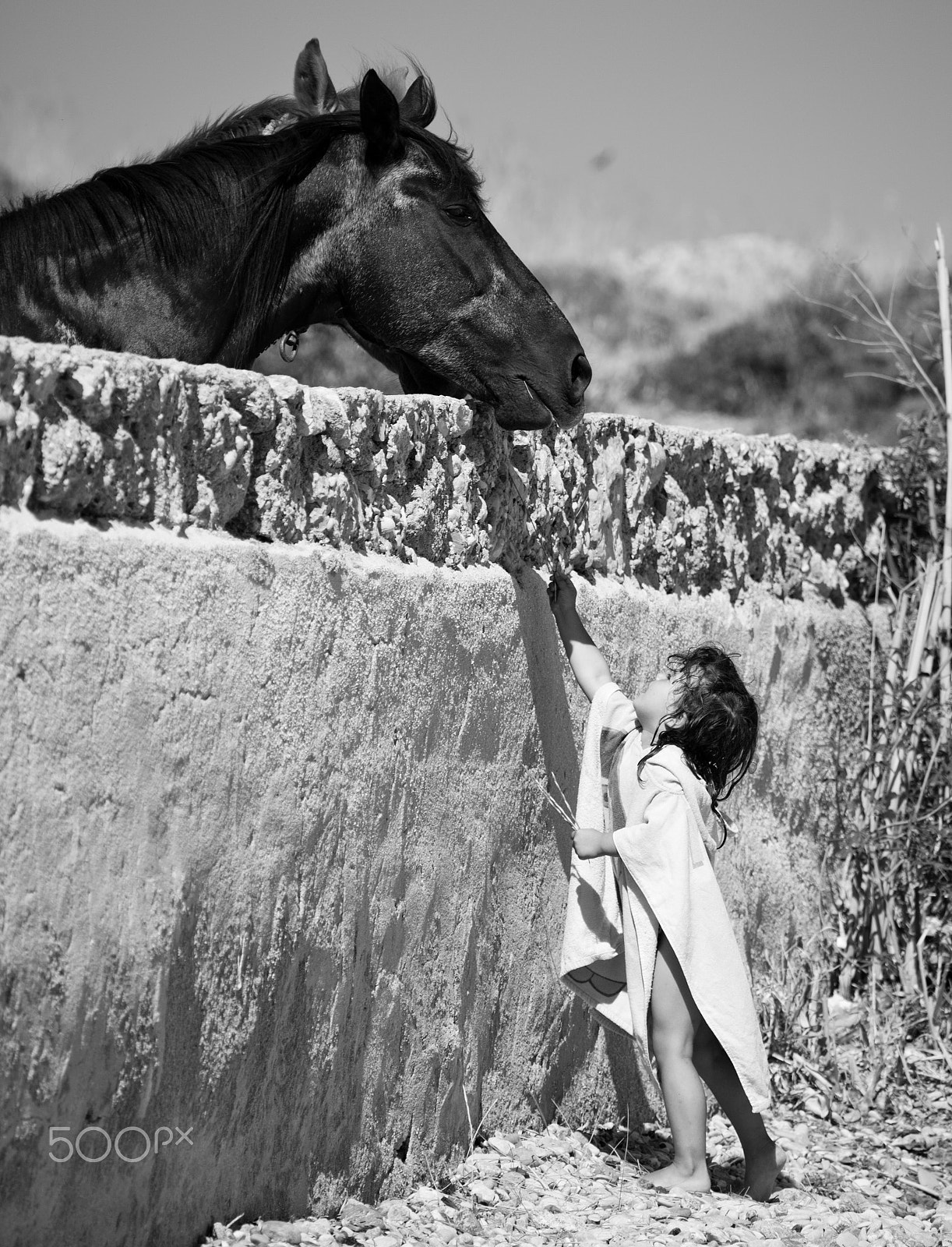 Canon EF 100-300mm F4.5-5.6 USM sample photo. Feeding the horse photography
